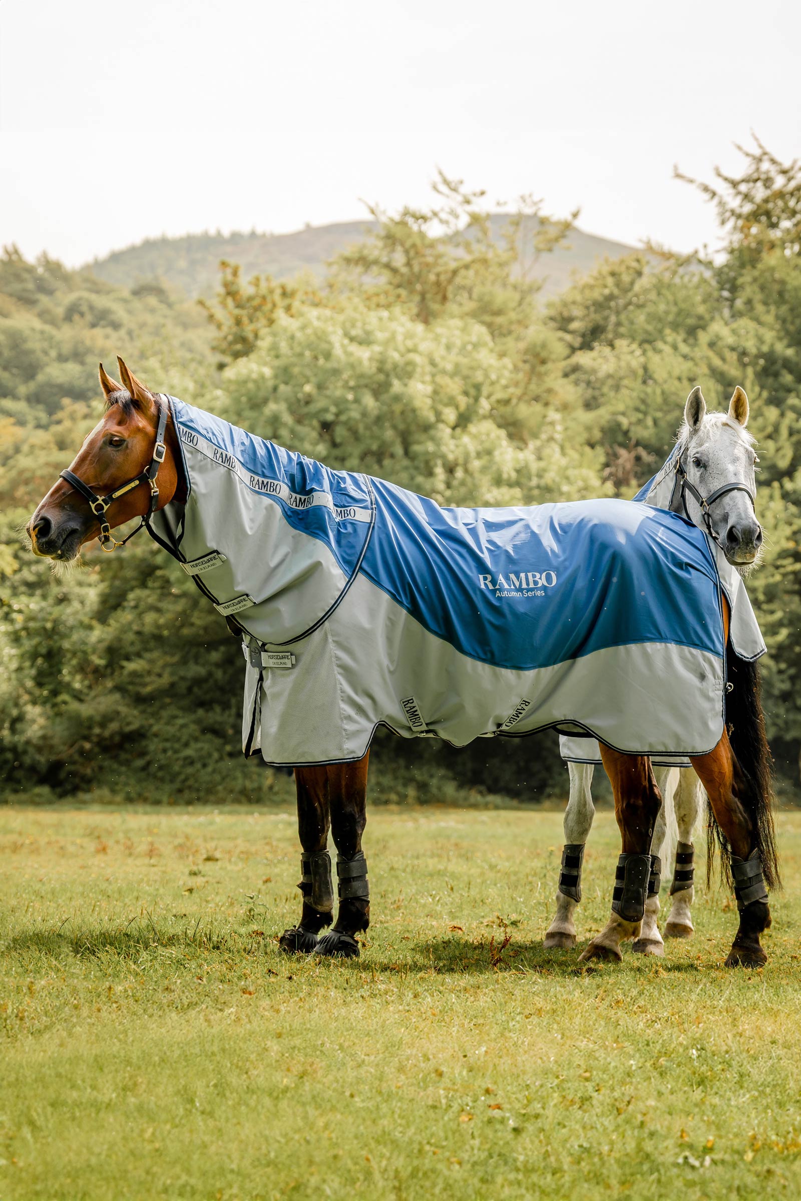 Horseware Rambo Autumn Series ulkoloimi alusloimella (0 g / 100 g)