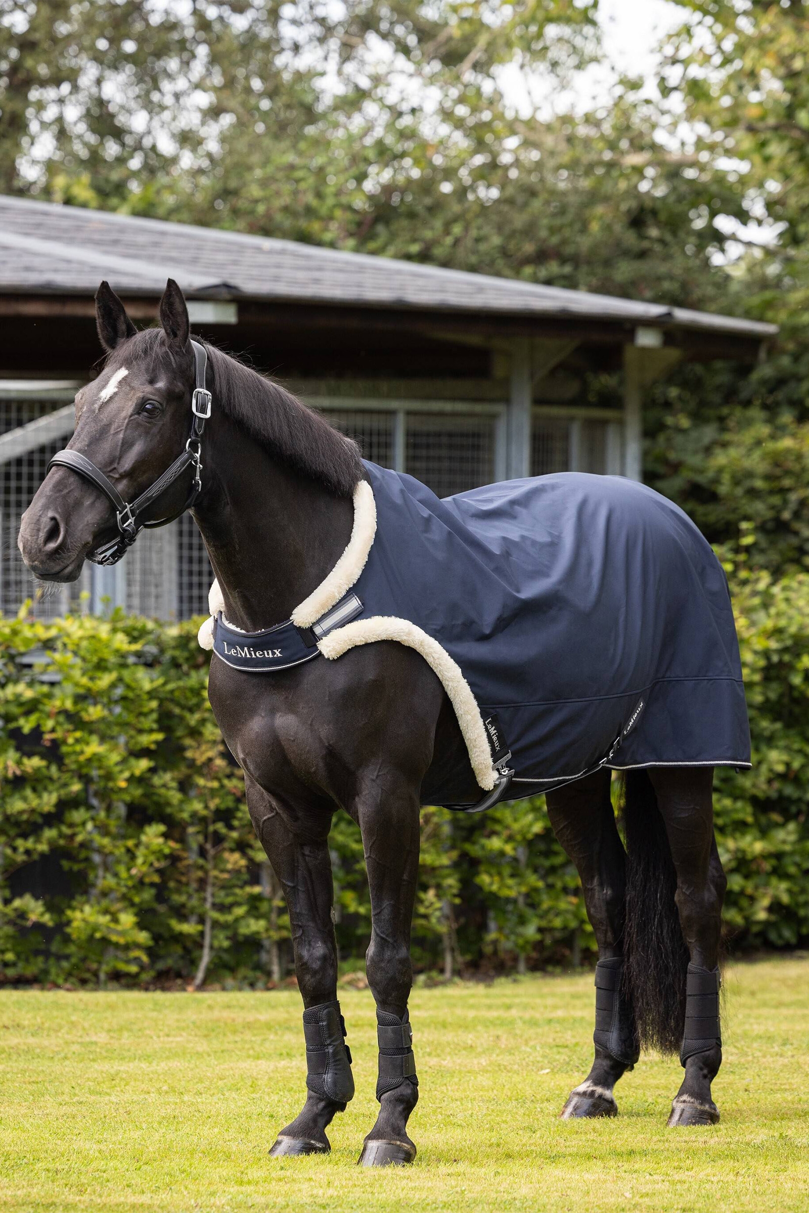 LeMieux Taluttamispeite