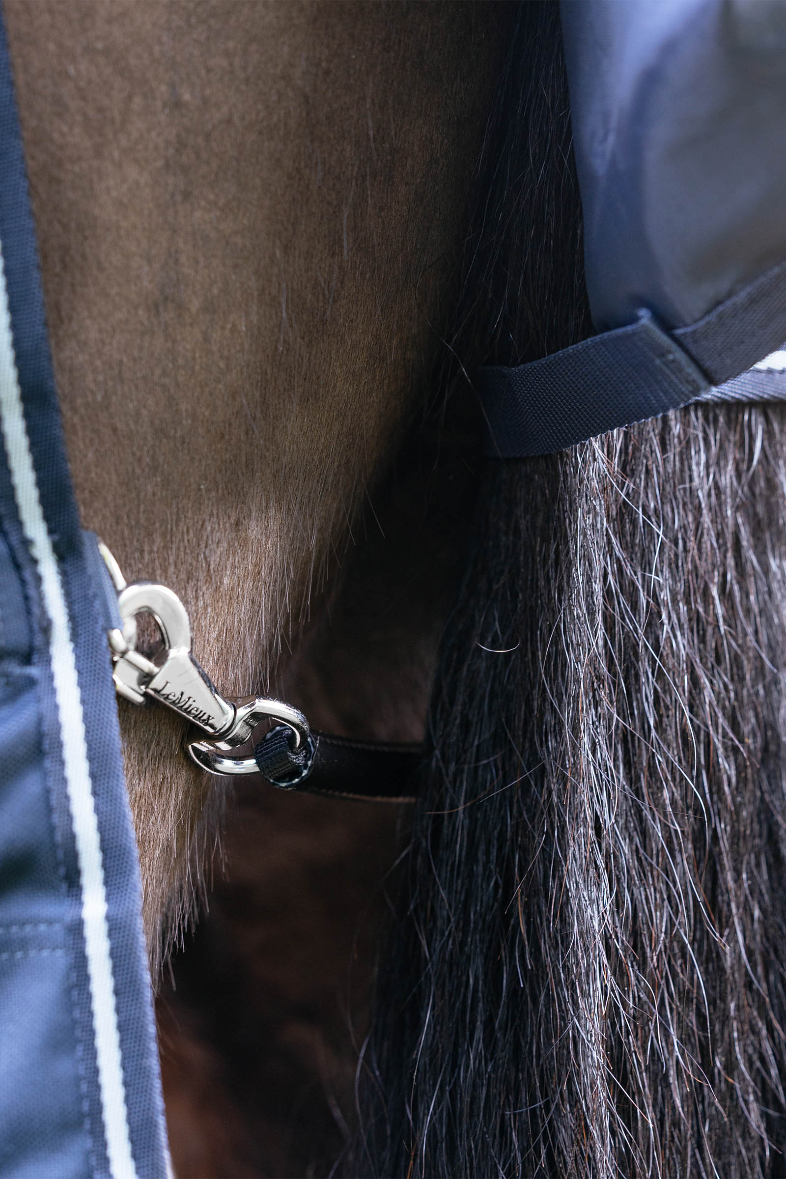 LeMieux Arika Storm-Tek ulkoloimi irrotettavalla kaulakappaleella, 200 g