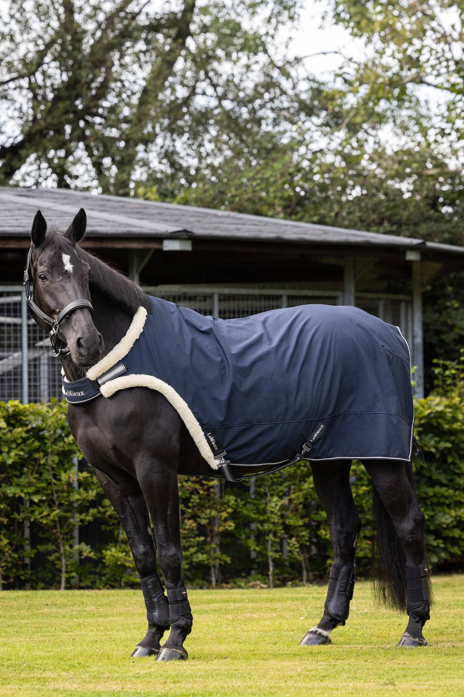 LeMieux Taluttamispeite