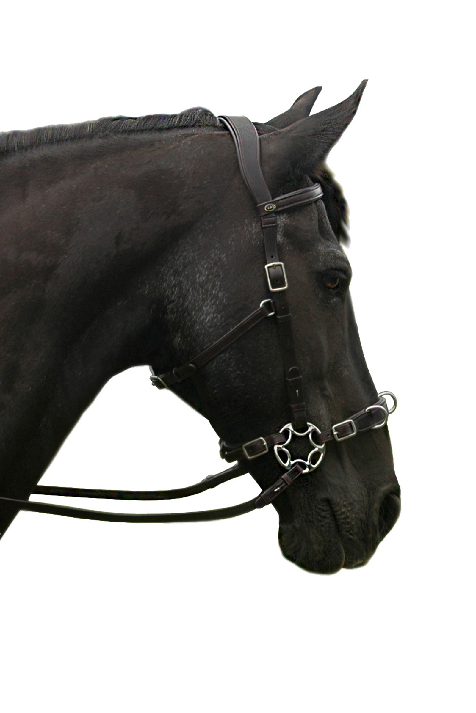 F.R.A. Freedom Riding Articles Caval Cavemore suitsikompletti (System 2) varsilla ja ohjilla