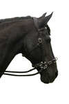 F.R.A. Freedom Riding Articles Caval Cavemore suitsikompletti (System 2) varsilla ja ohjilla