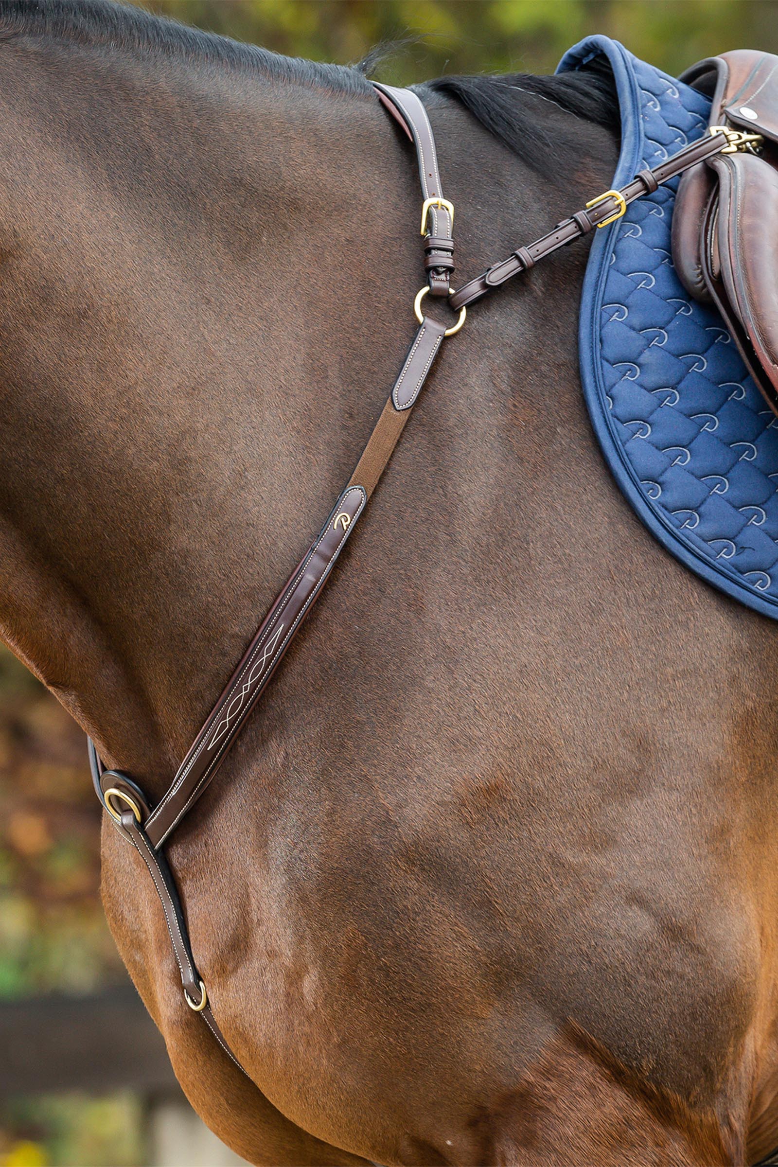 Dy'on D Collection rintaremmi sillalla