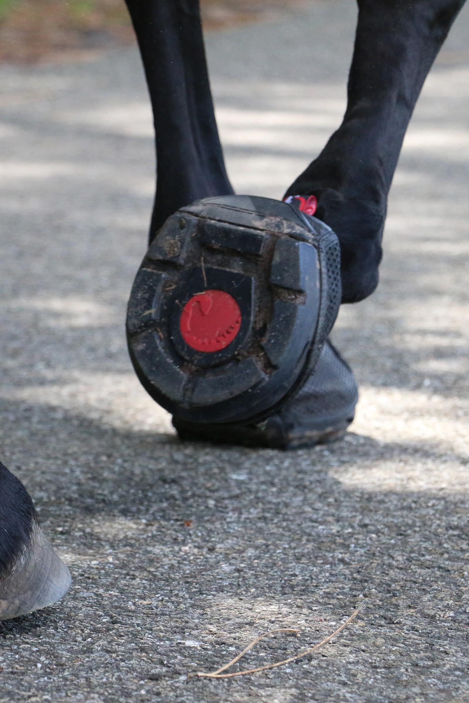 Cavallo Hoof Boots F.R.A. Trek SRS Bootsit (tavallinen/pari)