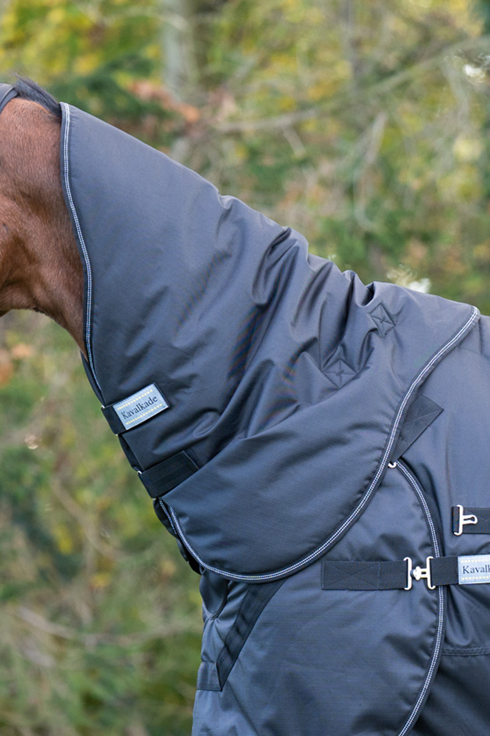 Kavalkade Halifax kaulakappale 2in1 Ulkoloimi ja Kävelytysloimi