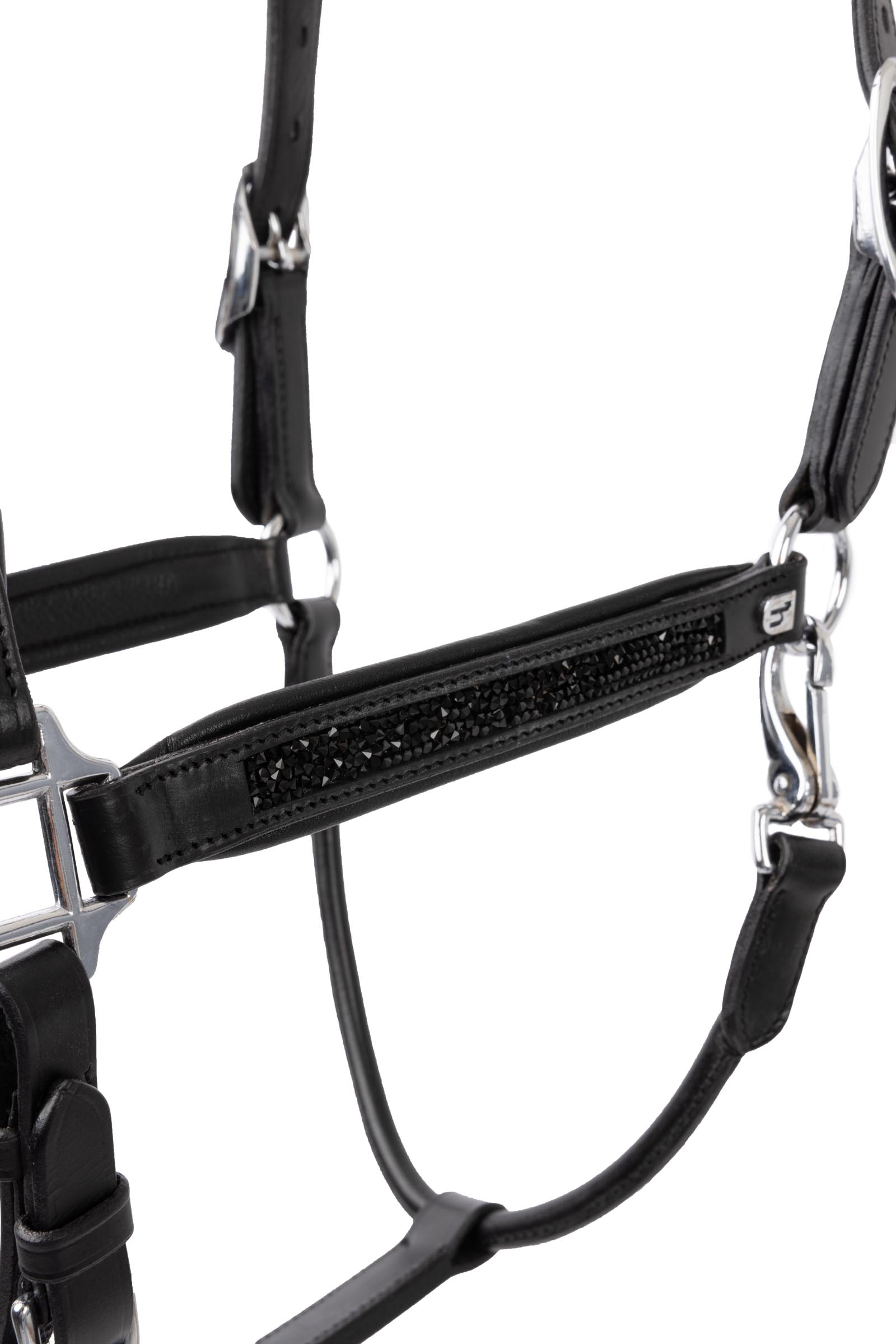 Horze Delémont nahkariimu