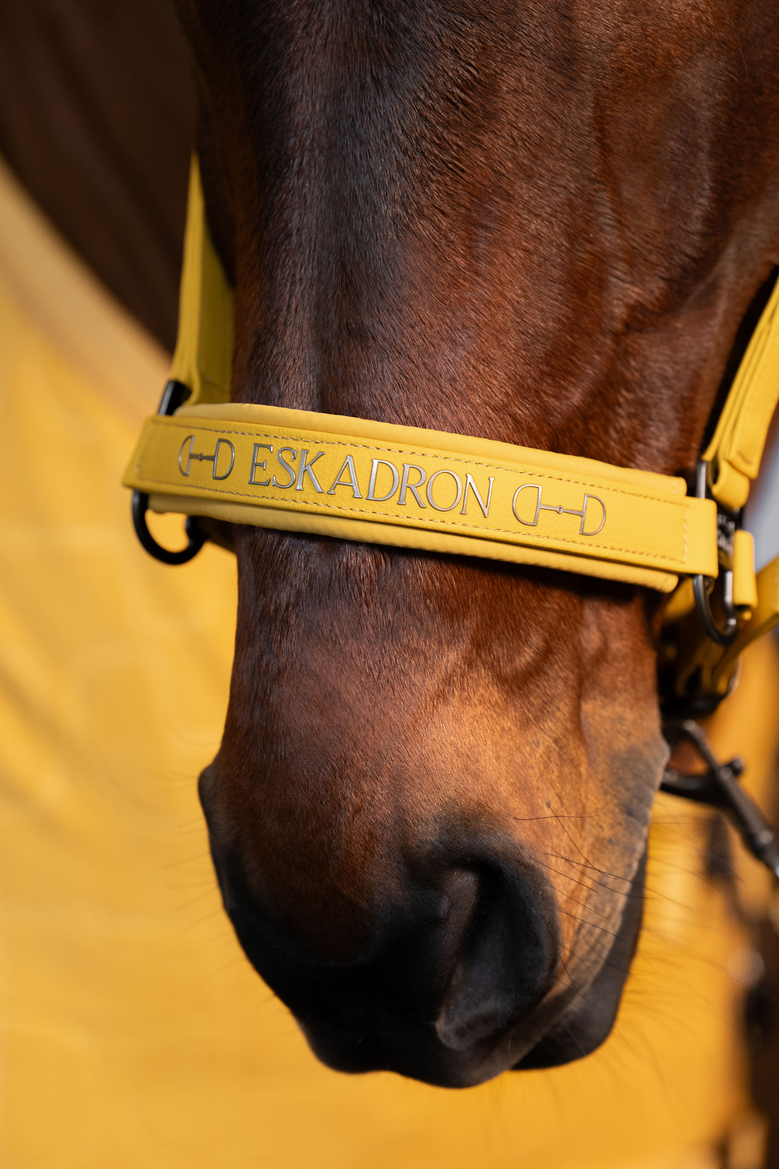 Eskadron Platinum 25 Kaksoispin riimu keinonahasta