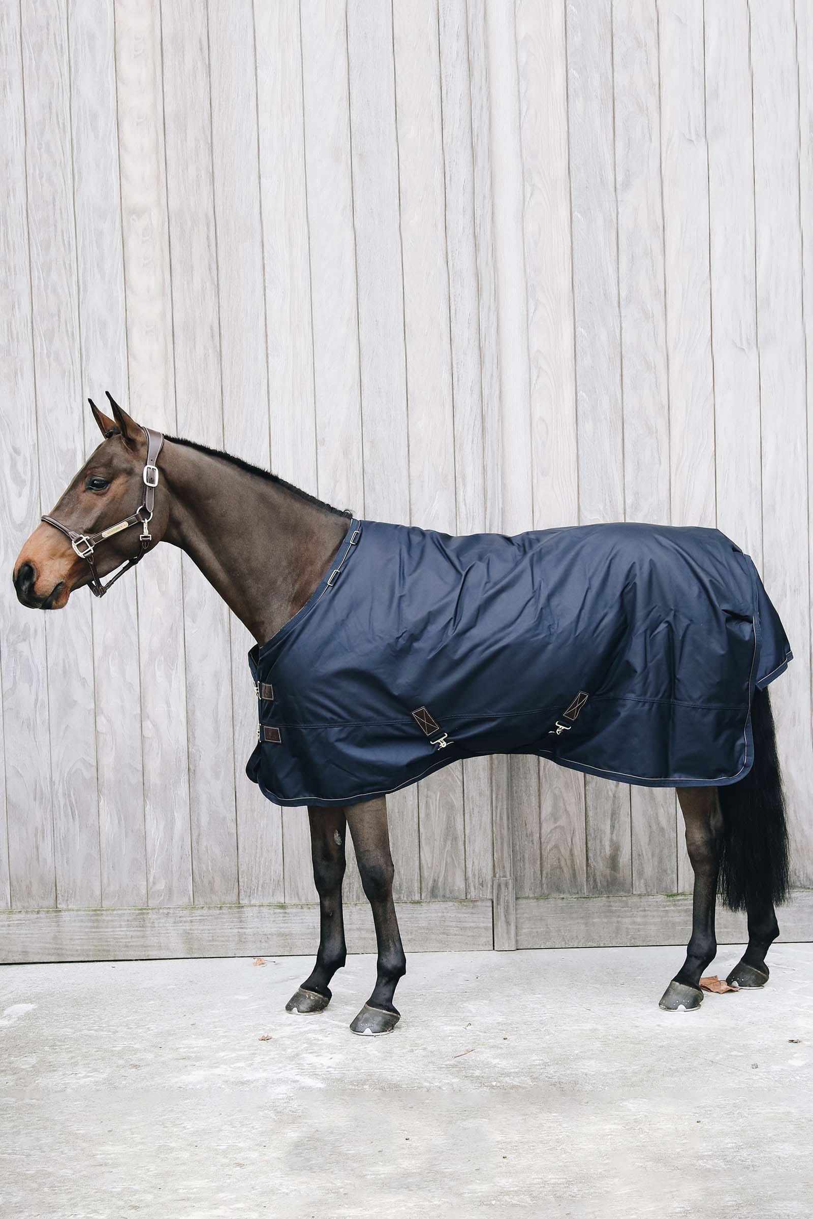 Kentucky Horsewear All Weather Waterproof Pro ulkoloimi, 0 g