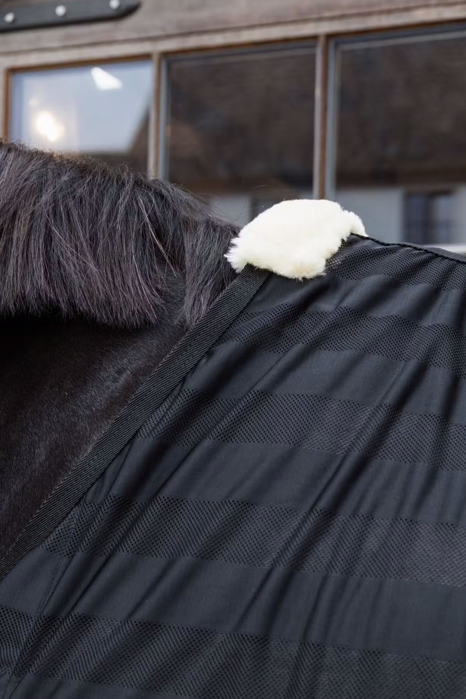 Kentucky Horsewear kevyt raidallinen kärpässuojaloimi verkkokankaasta