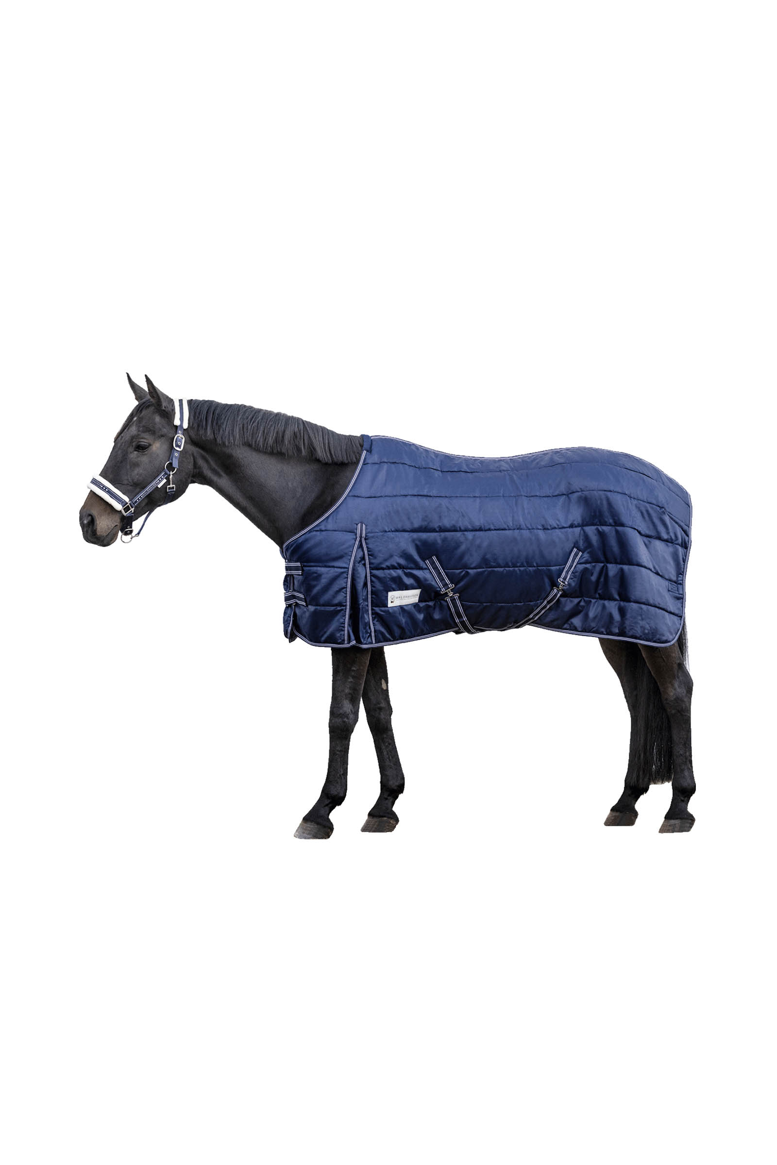Waldhausen Stable Rug Economic 300 g