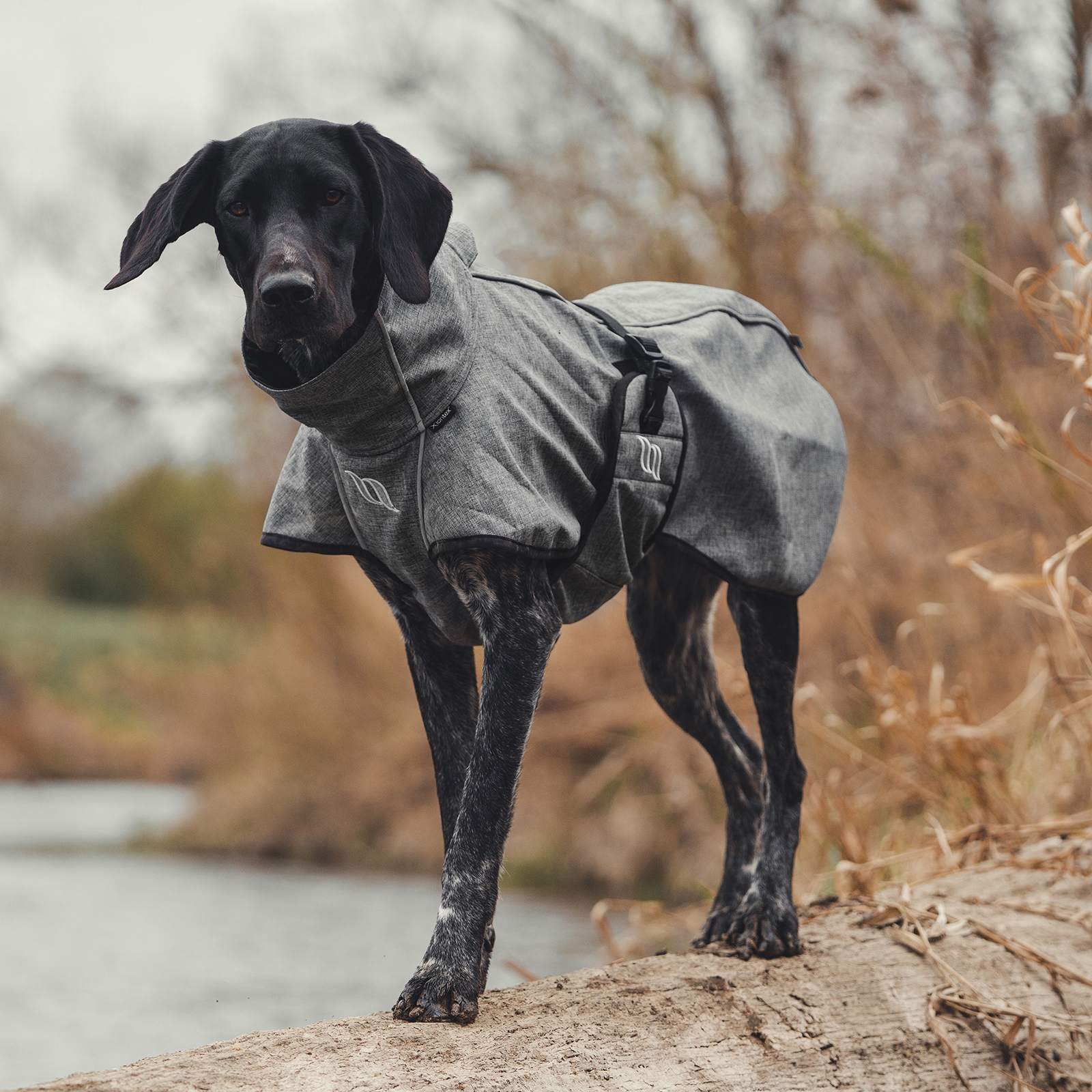 Back on Track Bark koiran jokasääntakki, 25-35 cm