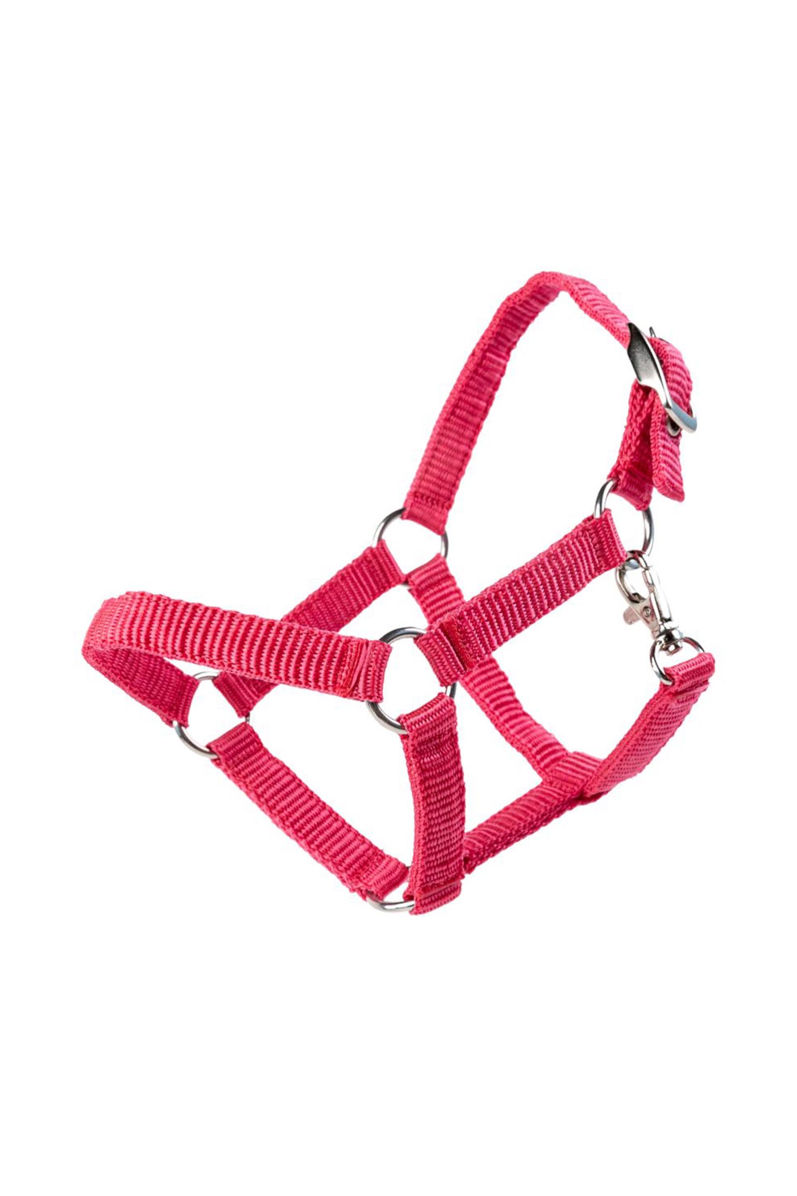 My Hobby Horse nailonriimu