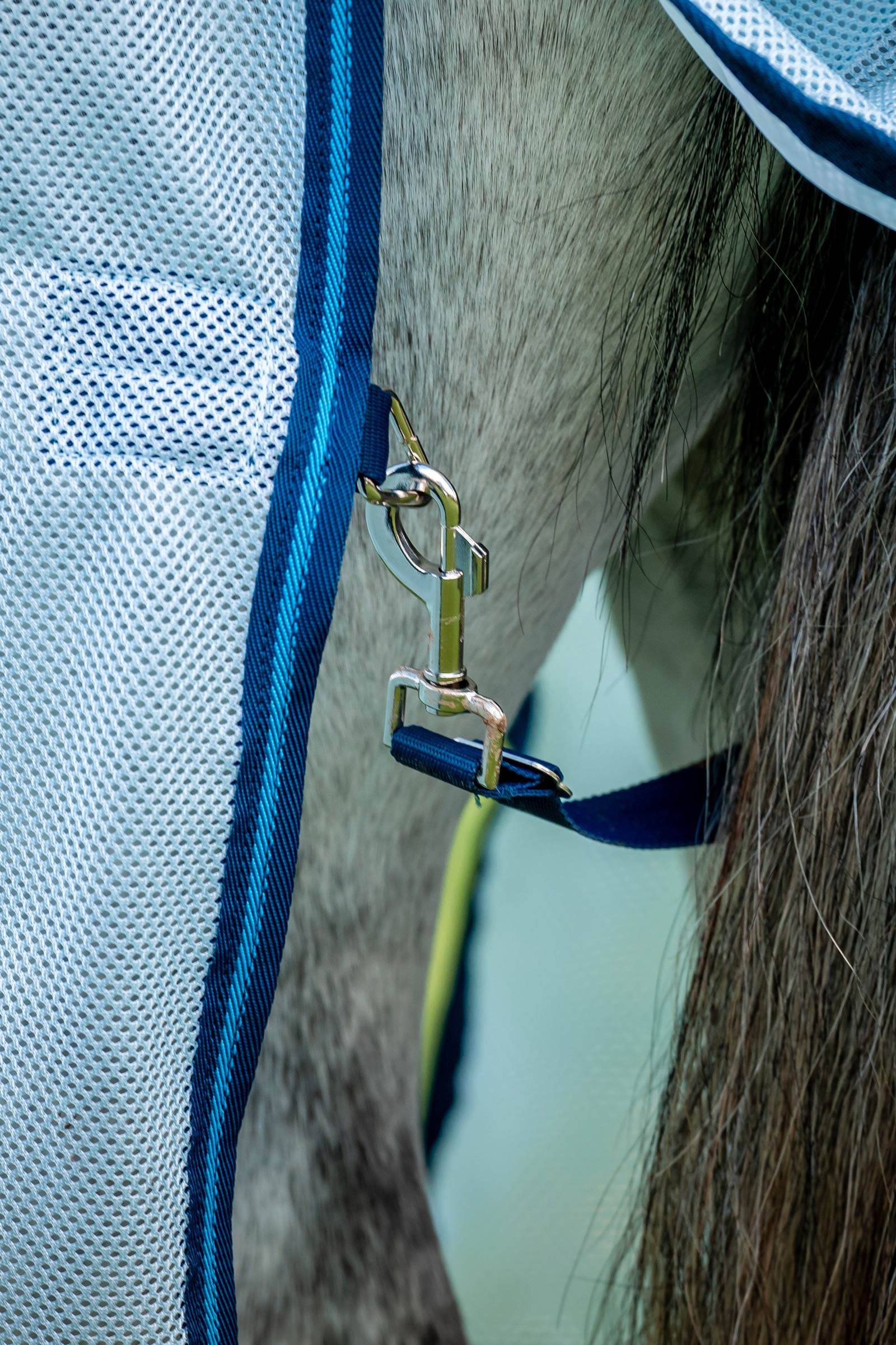 Horseware Amigo Bug Buster kärpässuoja irrotettavalla kaulaosalla