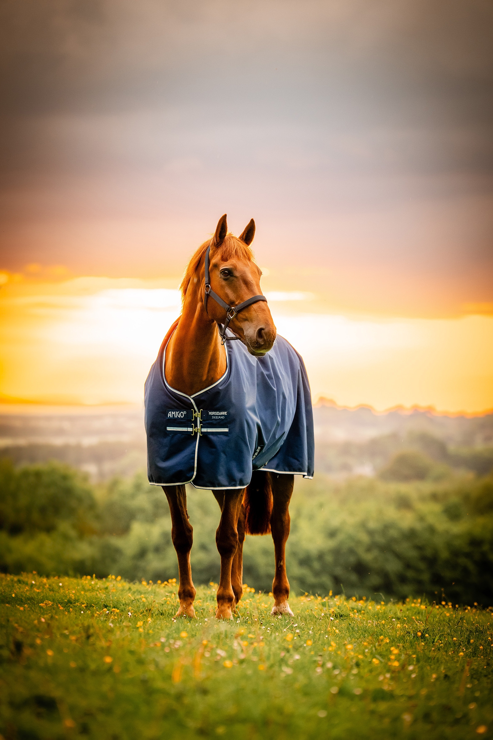 Witney Navy Horseware Amigo Ripstop 900D ulkoloimi fleecevuorella, 50 g