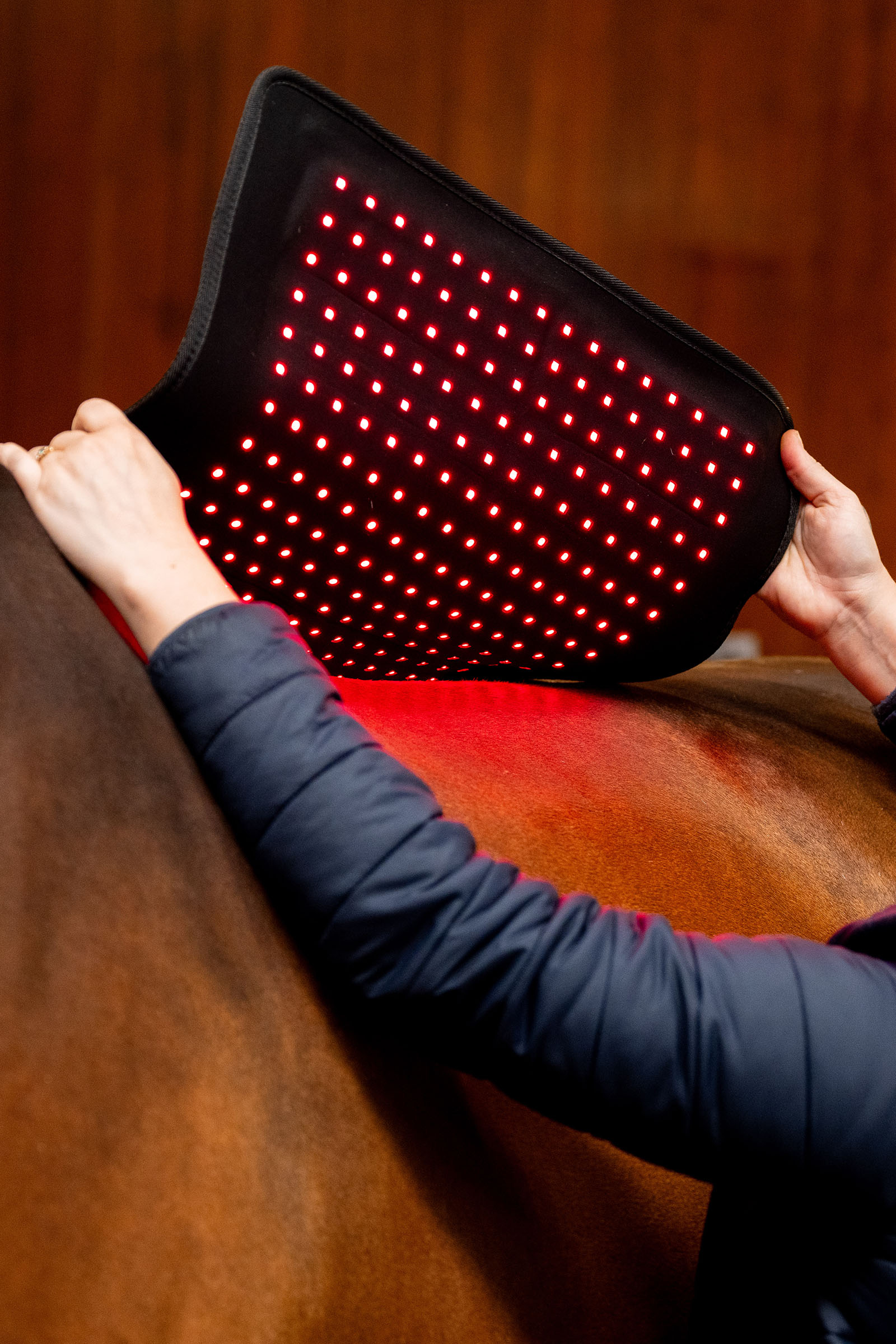 Horseware LED punavalohoitoinen Pad