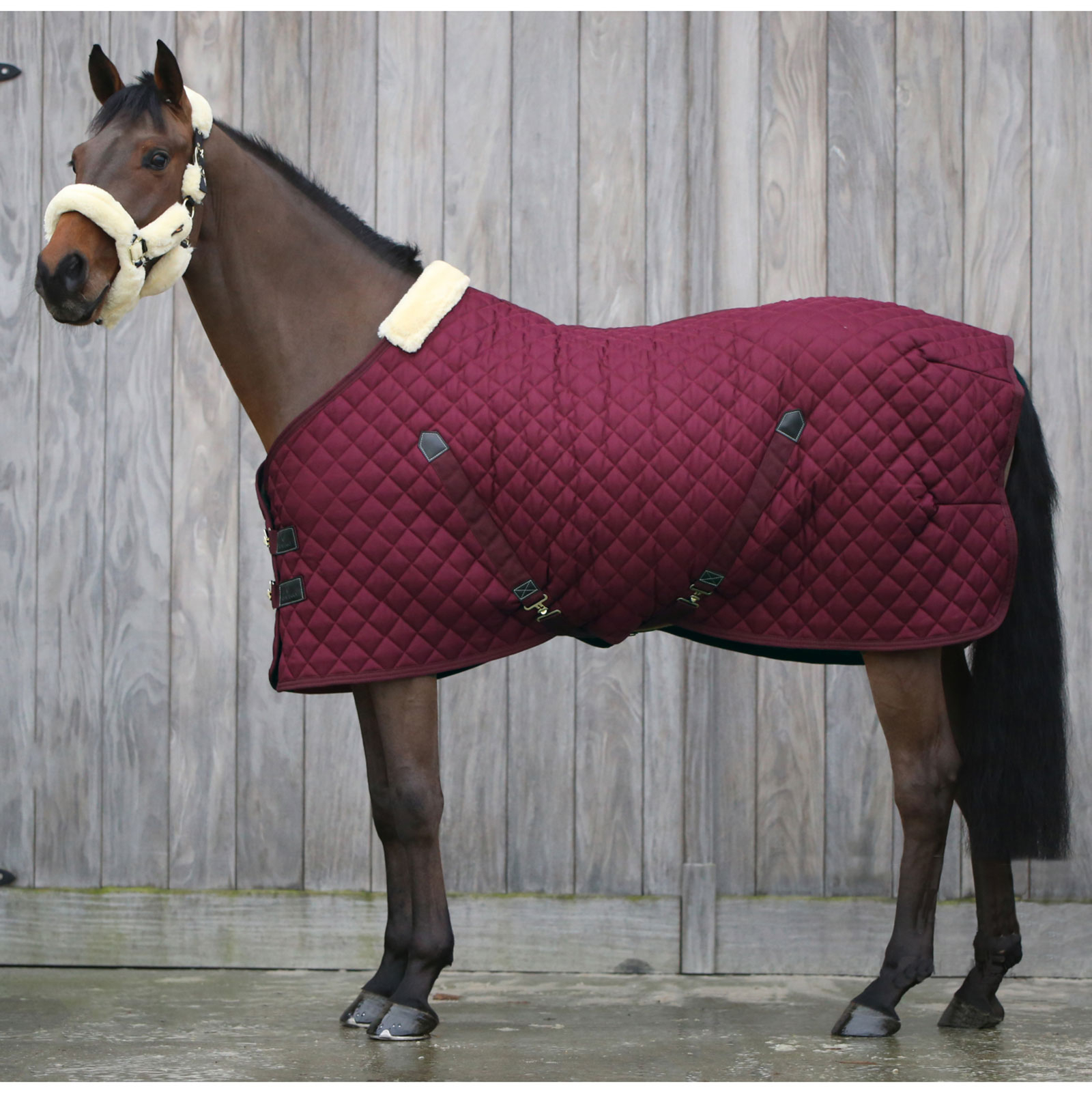 Dark Red Kentucky Horsewear talliloimi 400 g