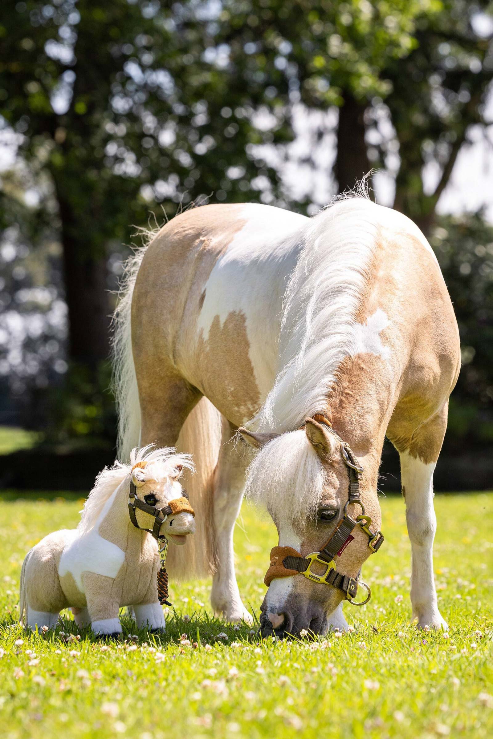 LeMieux Lemon leluponi