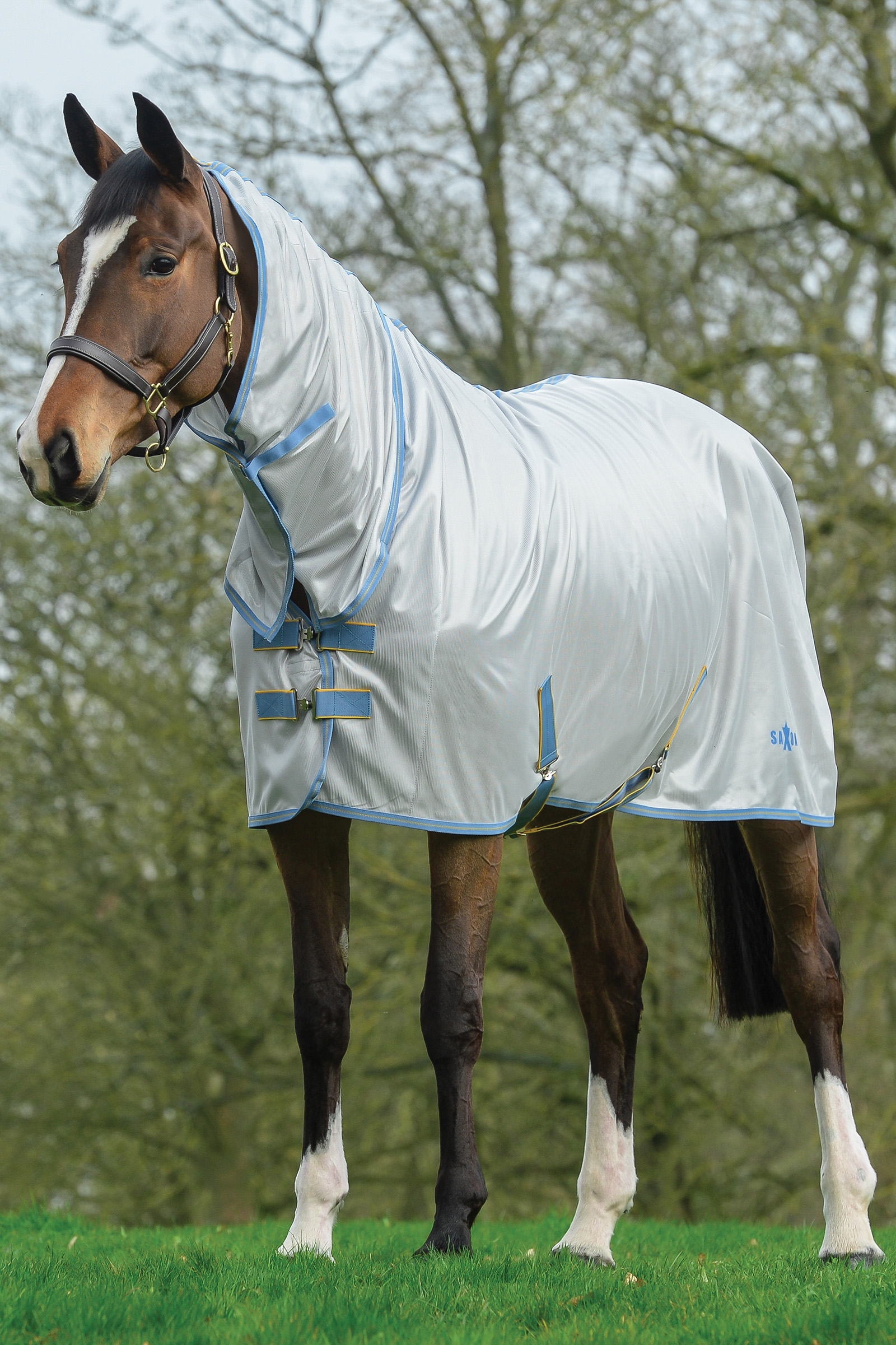 Saxon Mesh Combo hyönteisloimi kiinteällä kaulakappaleella