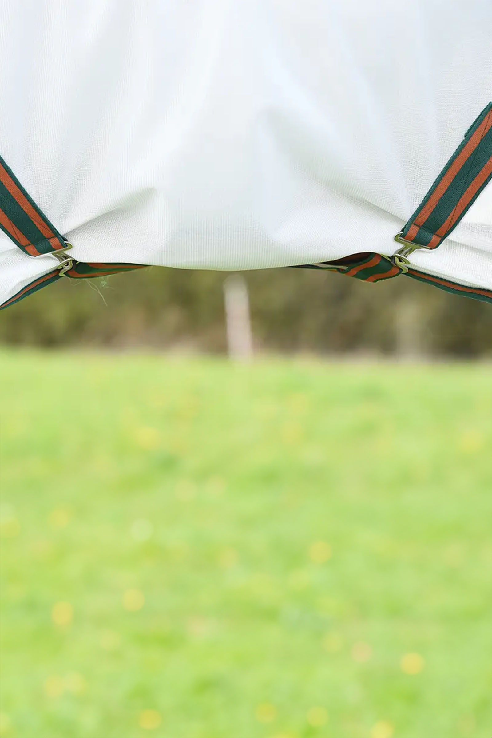 Weatherbeeta Comfitec Tyro verkkoloimi kaulakappaleella