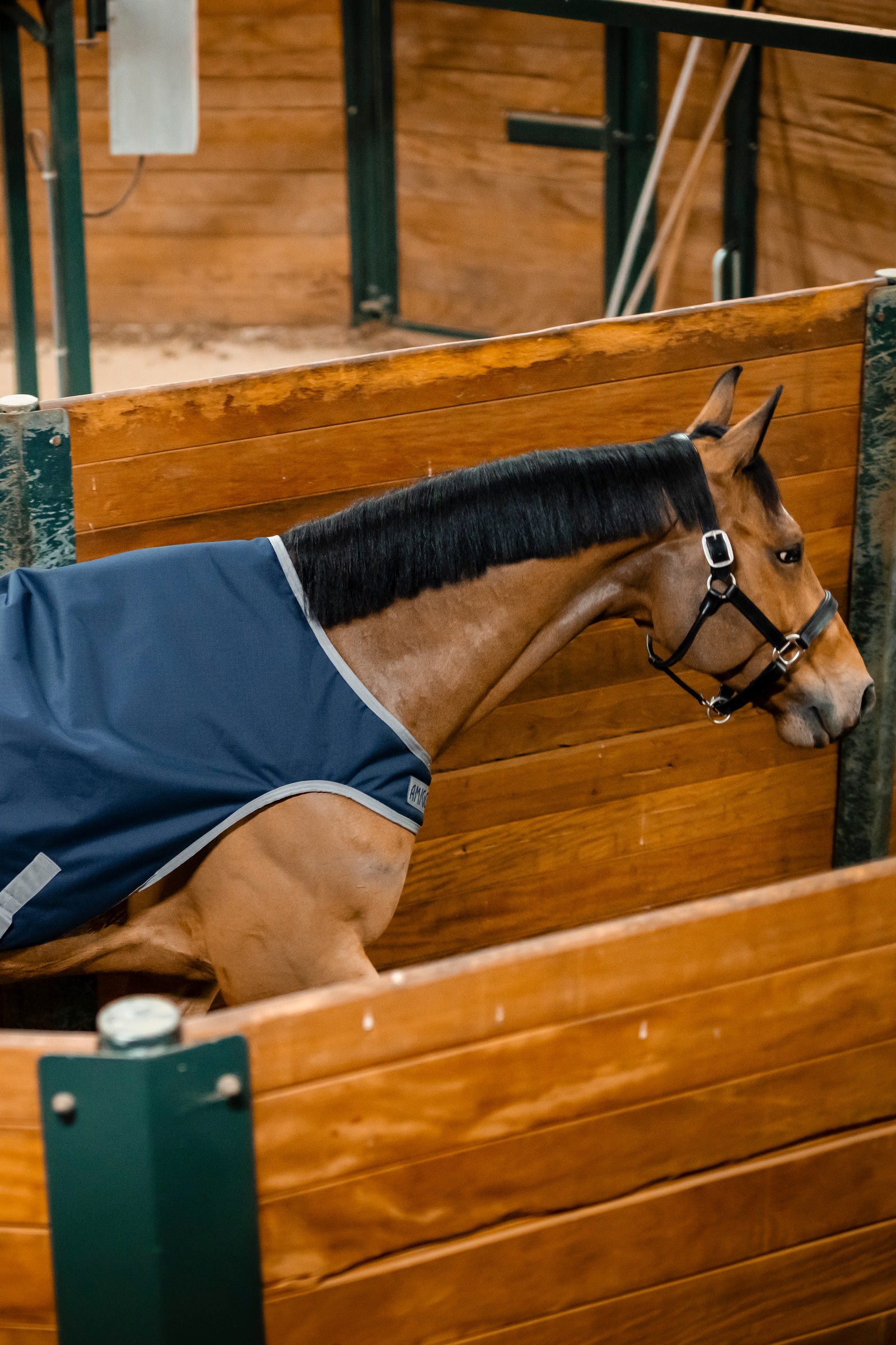 Horseware Amigo Ripstop 900D Walker-loimi, 100 g