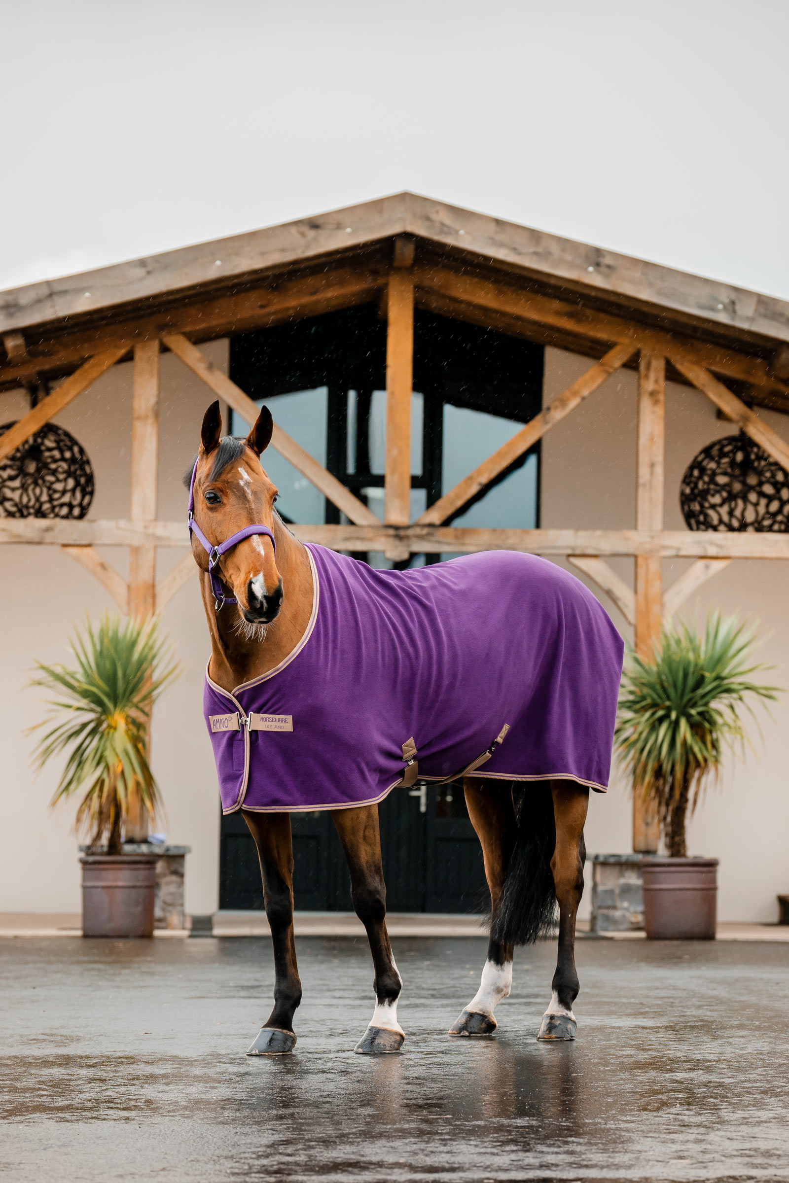 Horseware Amigo Fleece Cooler