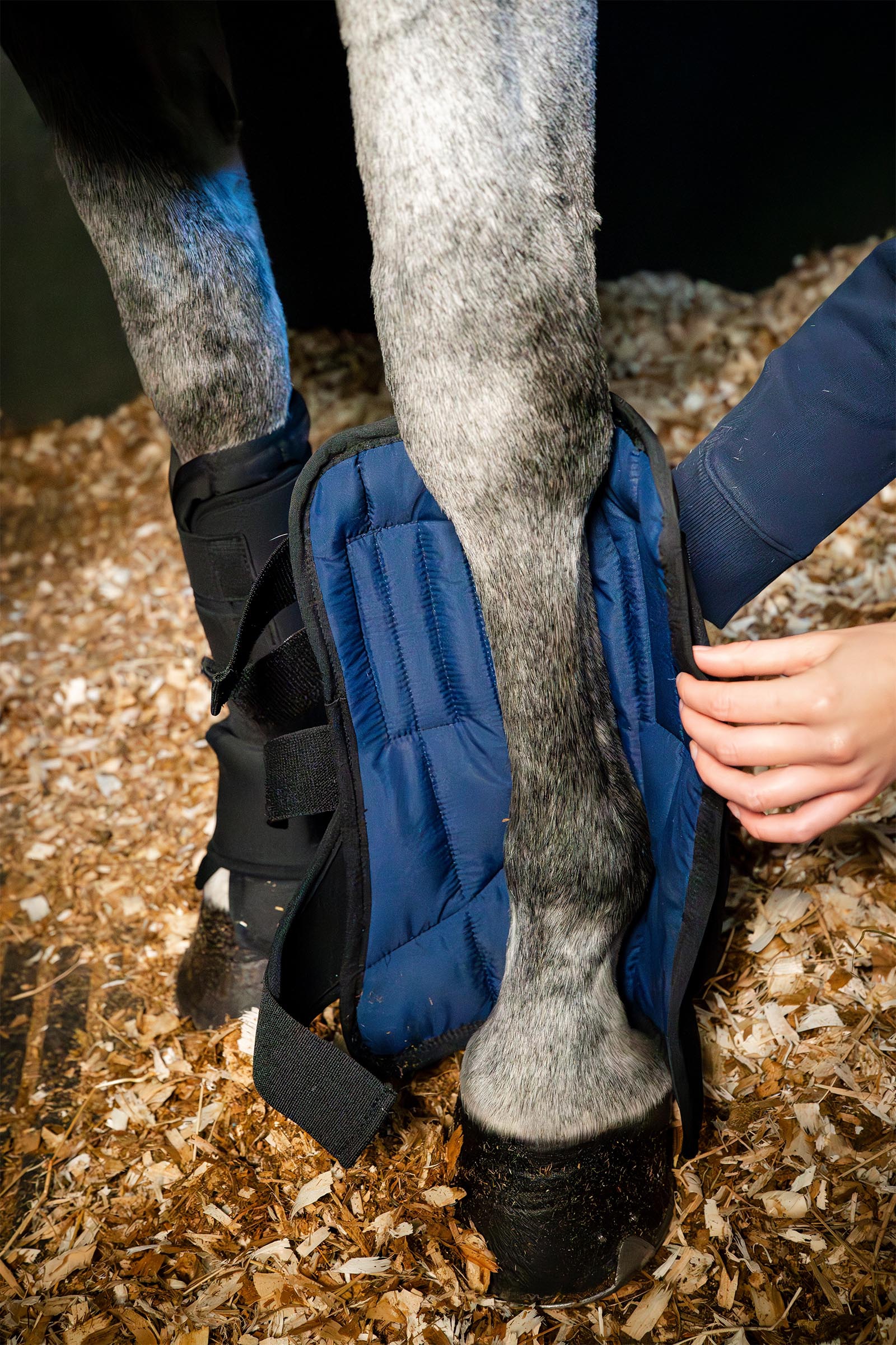 Horseware tallisaapas Ionic liner