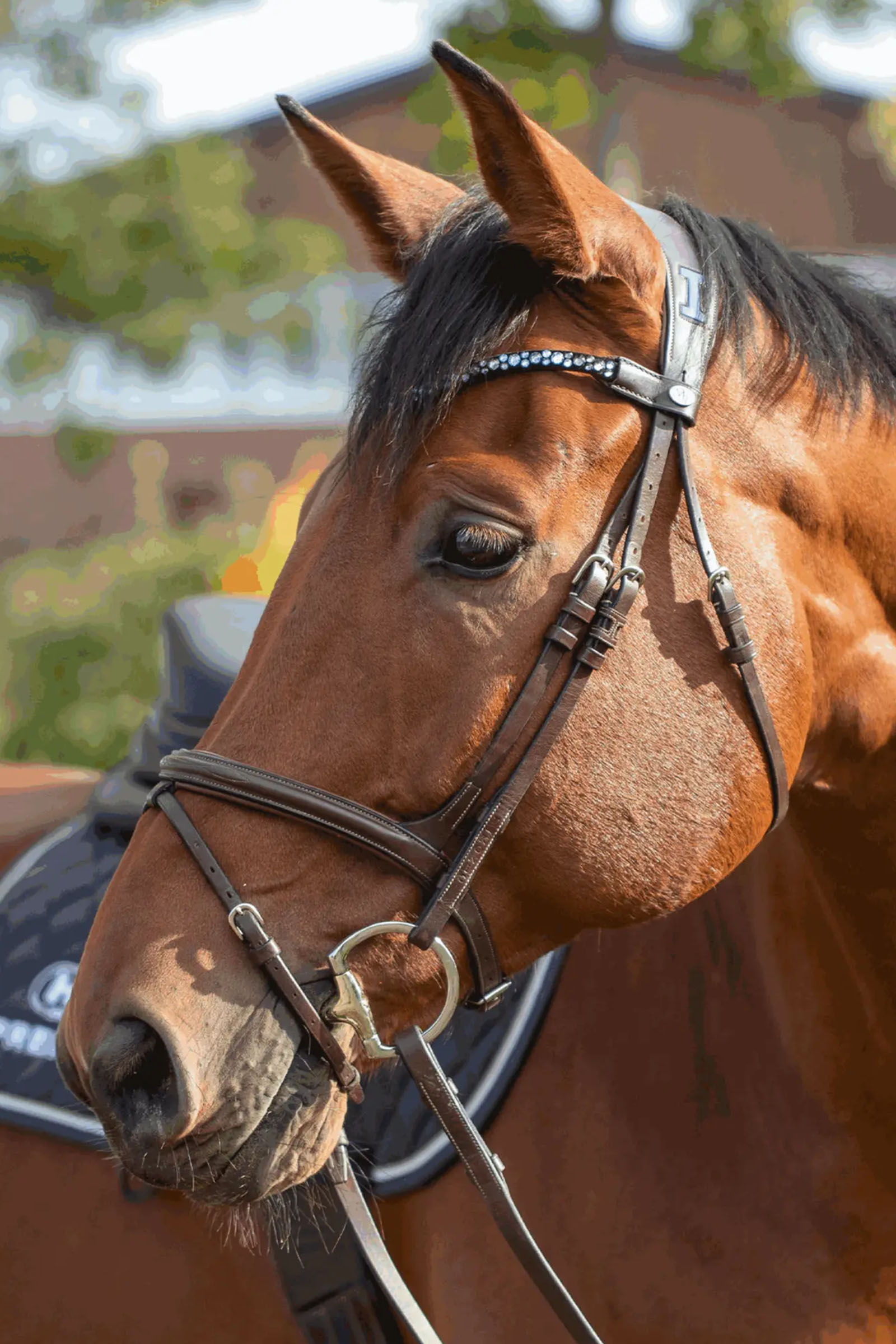 Sprenger Novocontact Oliivinivelkuolain 14mm Yksinivelinen Sensogan D-Renkailla