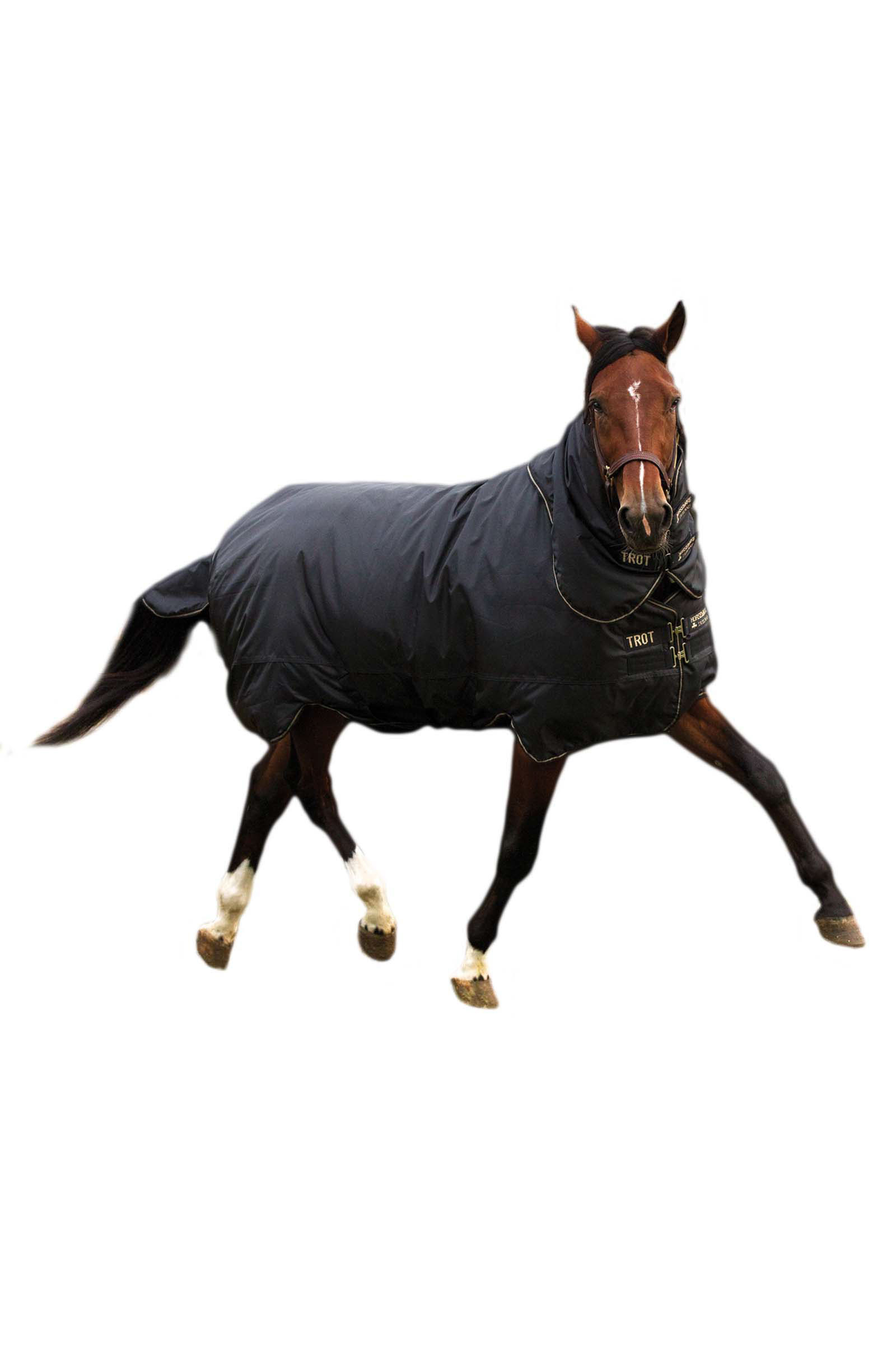 Horseware Trot Plus Ulkoloimi irrotettavalla kaulakappaleella, 350g
