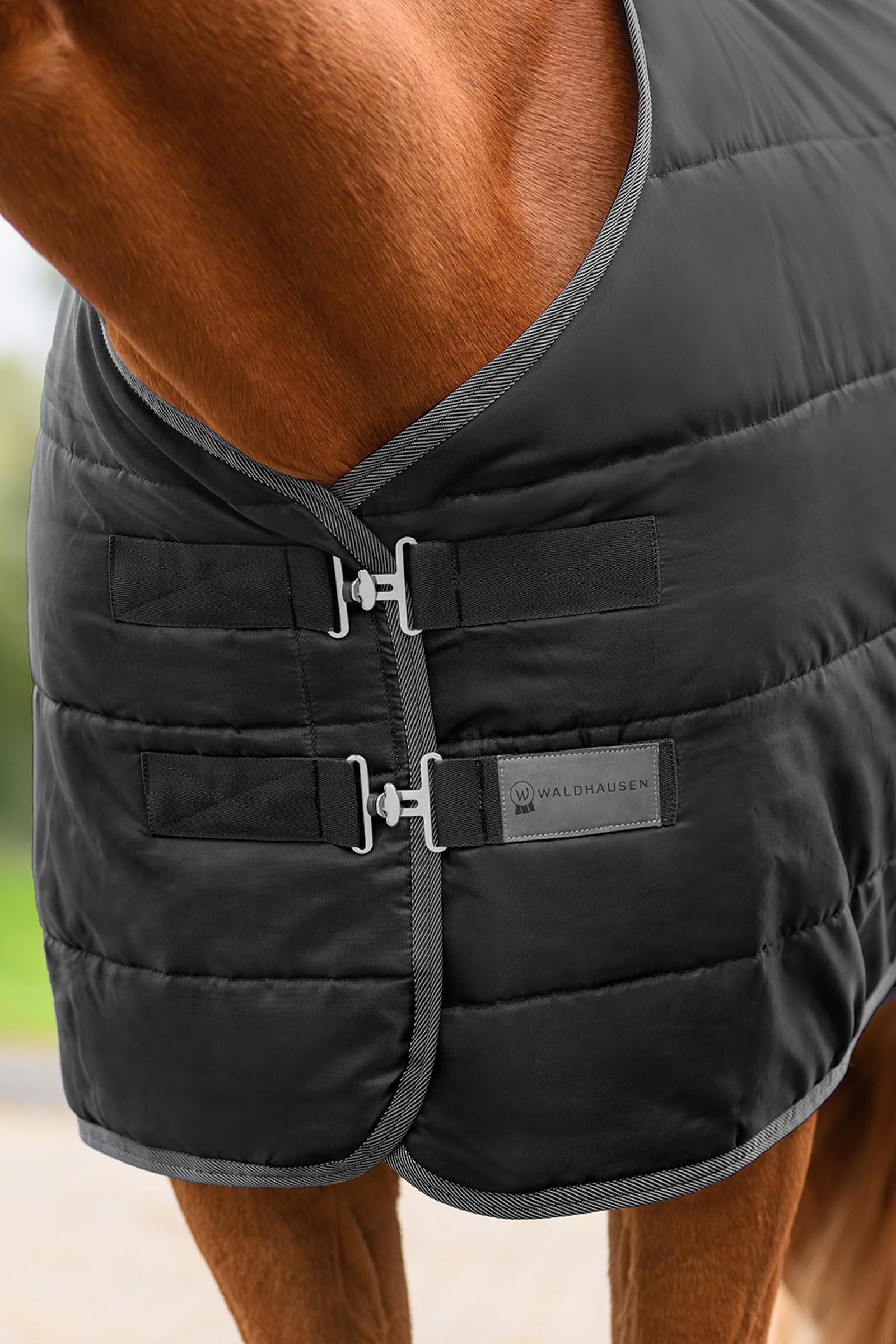 Waldhausen ECONOMIC talliloimi, 100g