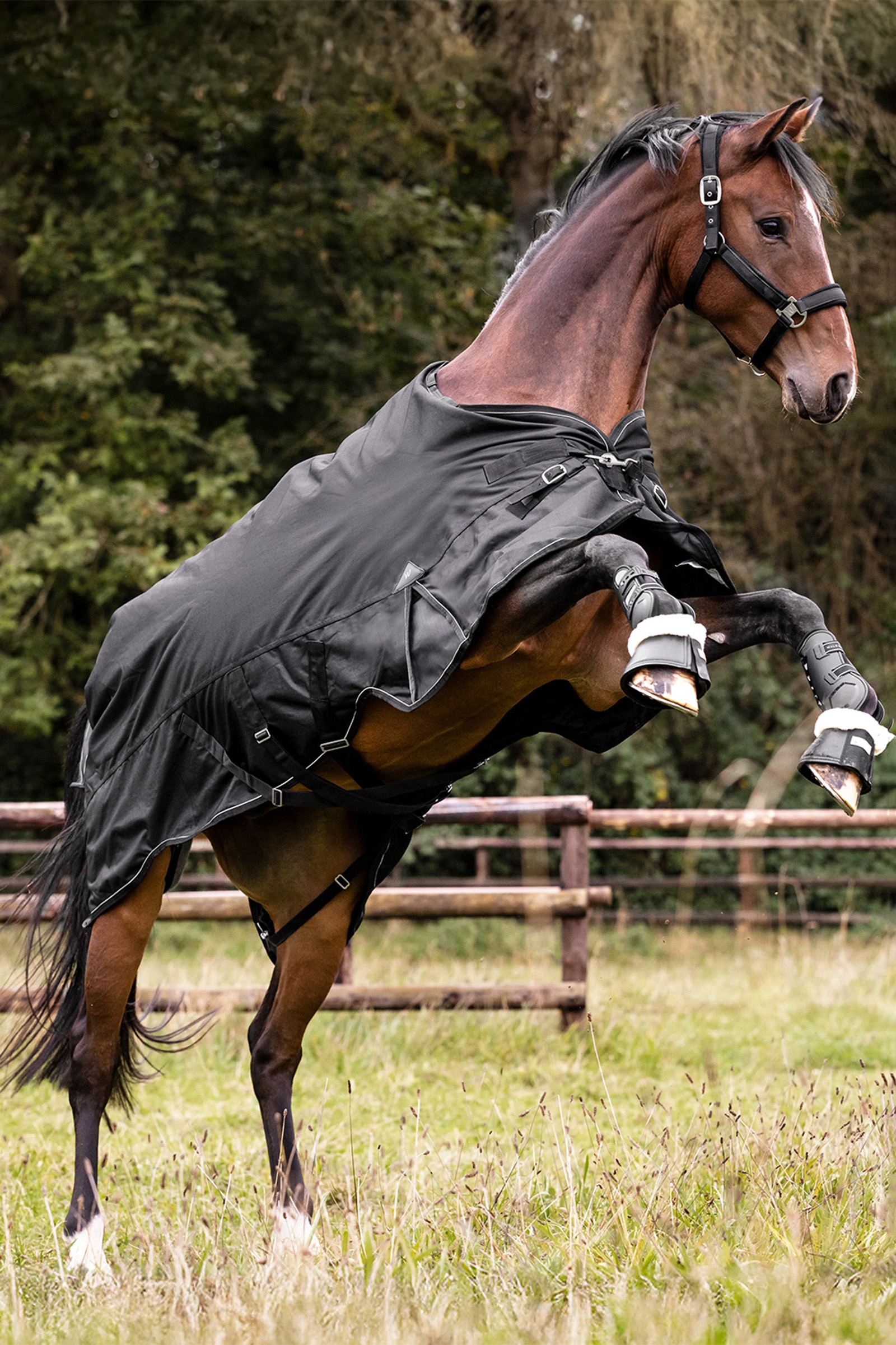 Waldhausen ulkoloimi Scandic monikerroksinen 250 g/100 g