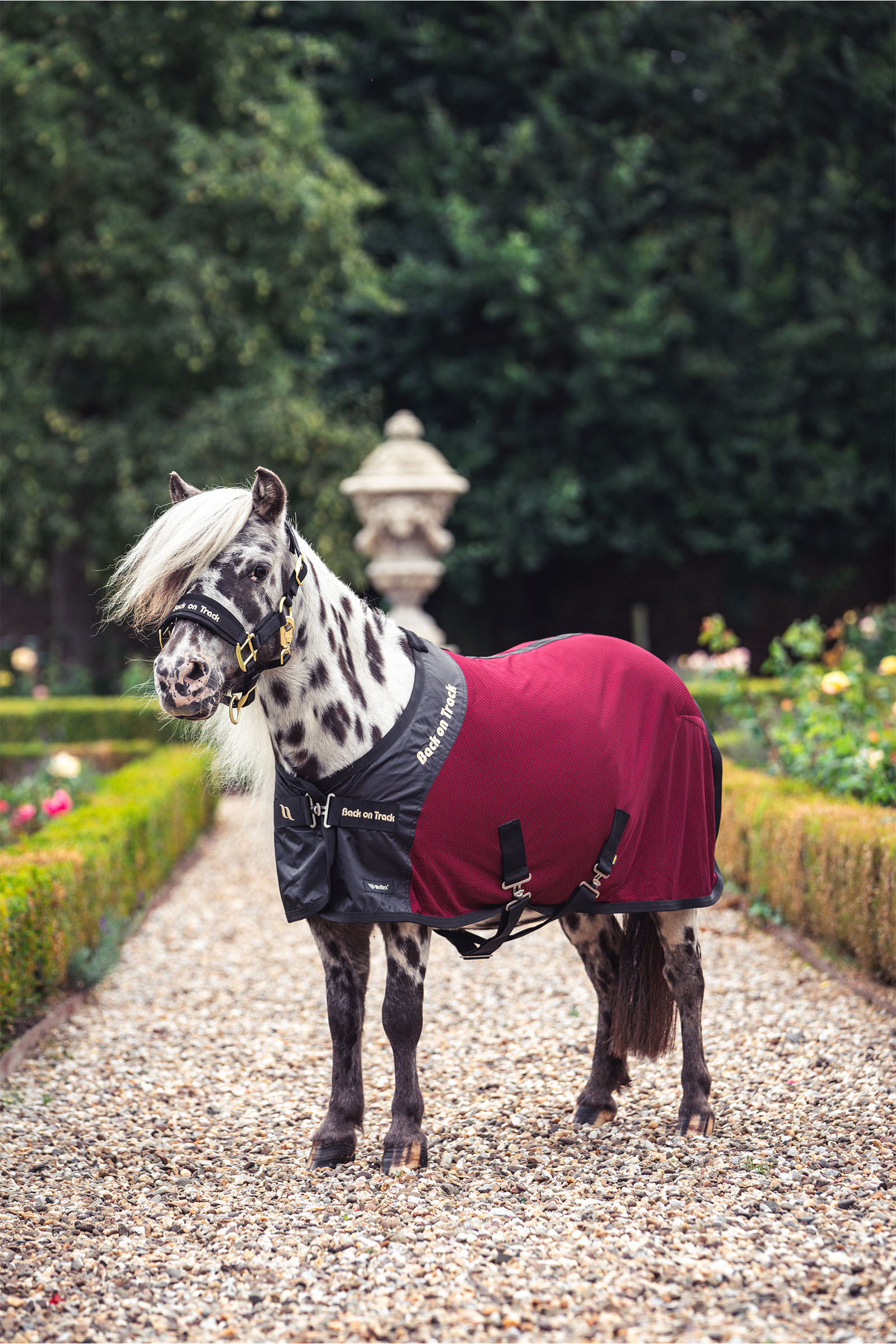 Back on Track Royal Pony Verkkoloimi Deluxe