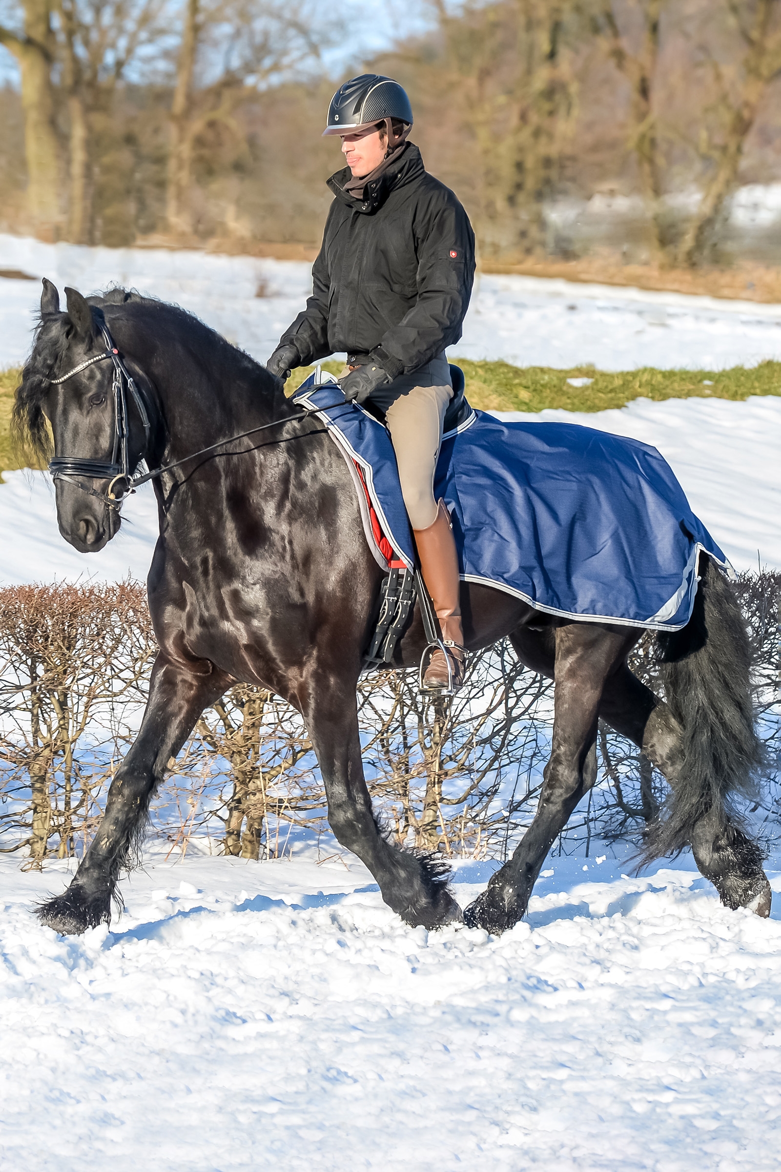 Bucas-ratsastusloimi