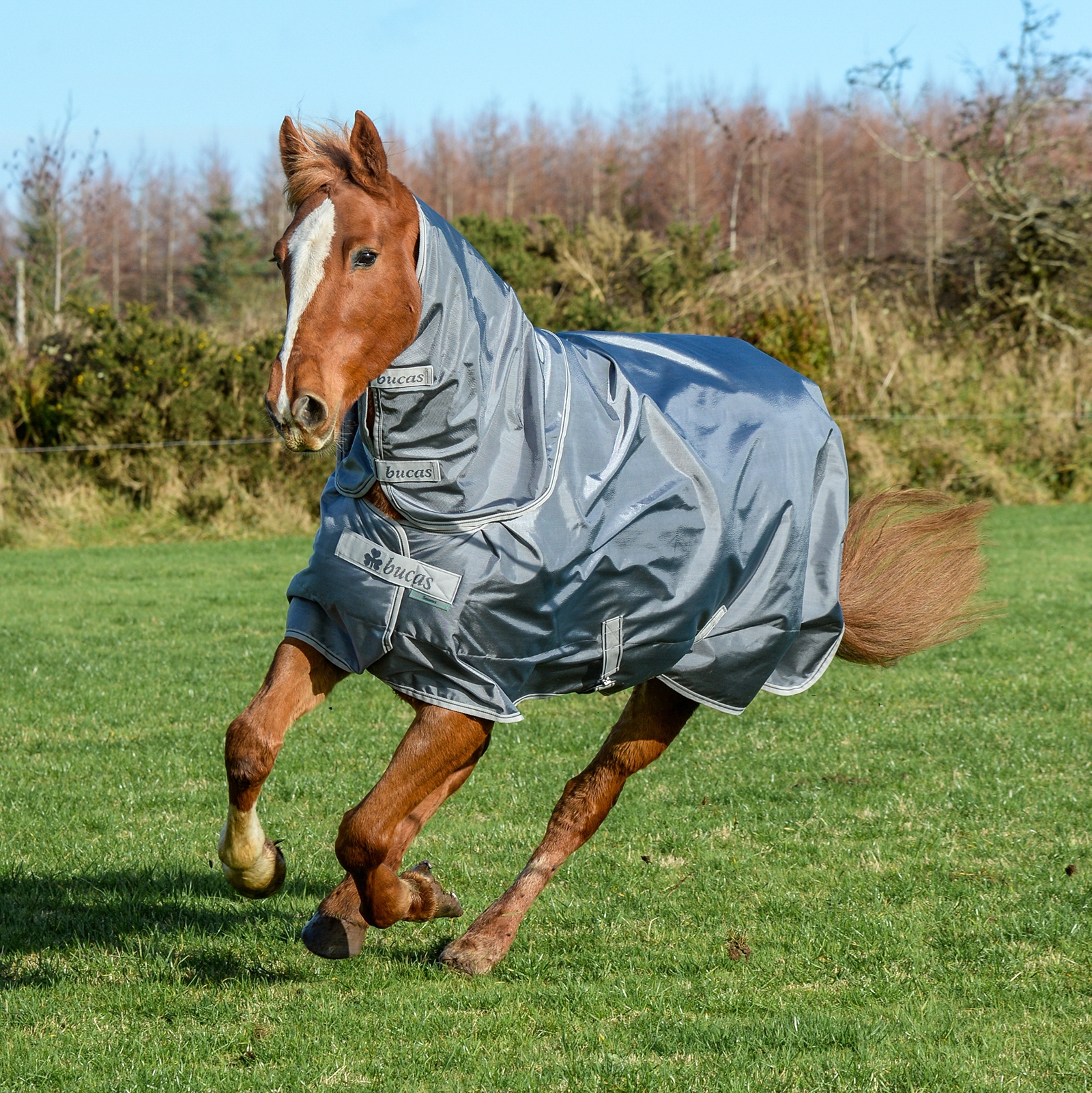 Iron Grey Bucas Smartex Combi kaulakappale 300