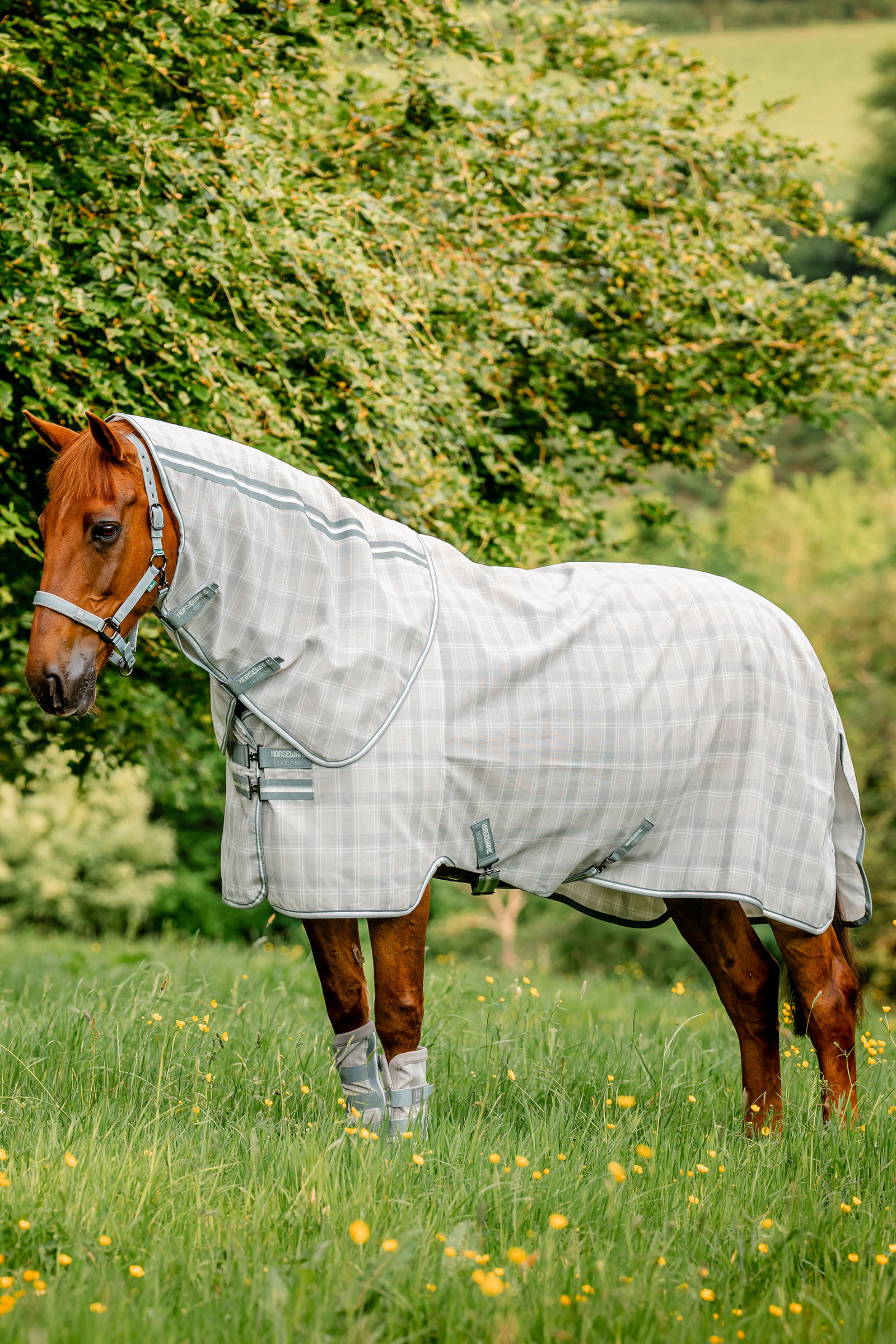 Witney Charcoal Horseware Newmarket Plus Ötökkäloimi