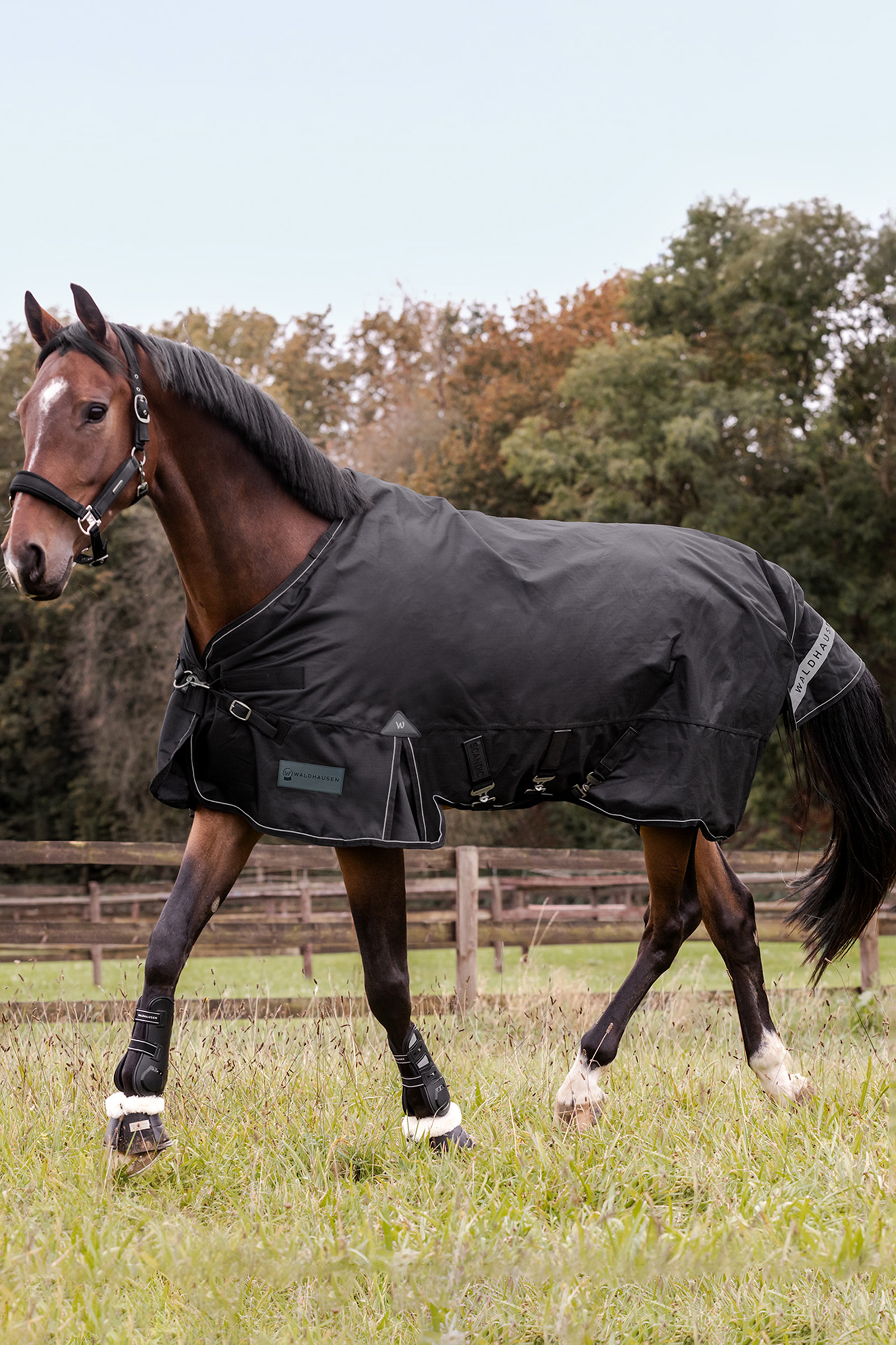 Waldhausen Outdoor Rug Scandic 50g