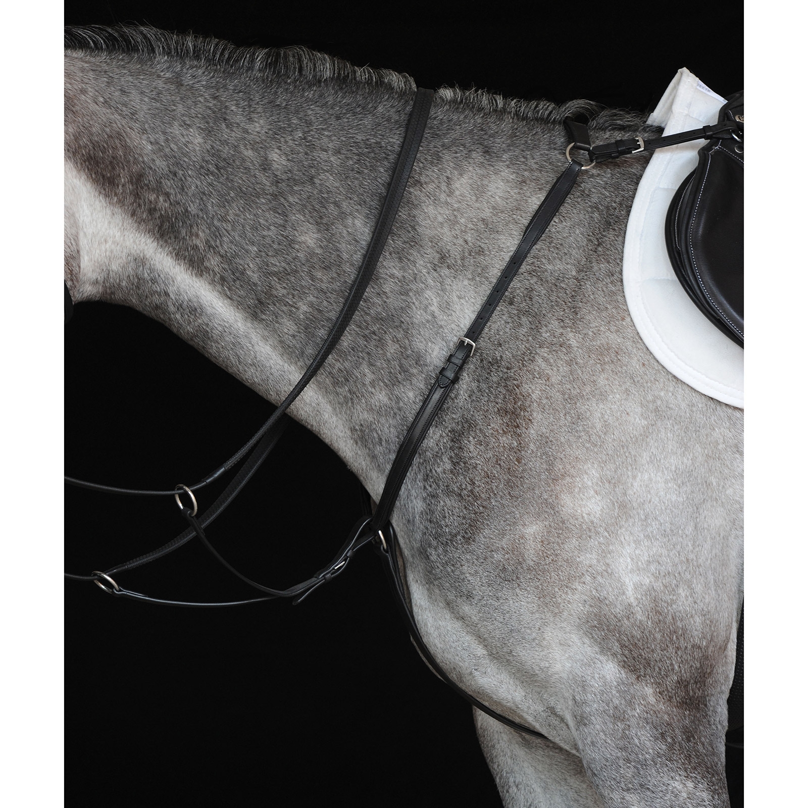 Collegiate Hunter IV -rintaremmi