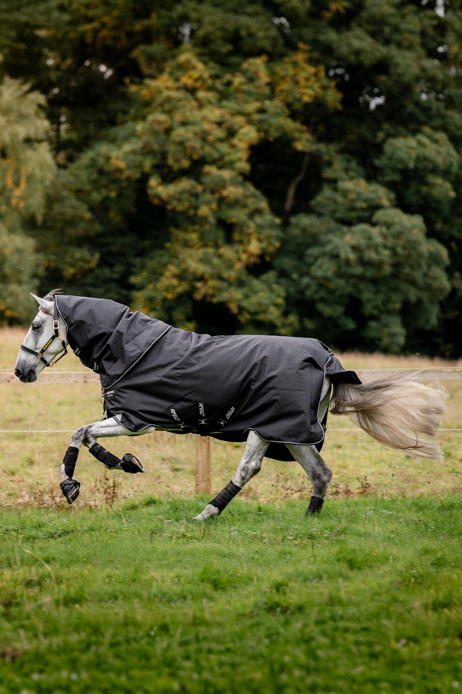 Horseware Amigo Super Bravo Plus ulkoloimi irrotettavalla kaulaosalla, 250 g