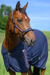 Tommy Hilfiger Equestrian Yale riimu- ja talutinsetti