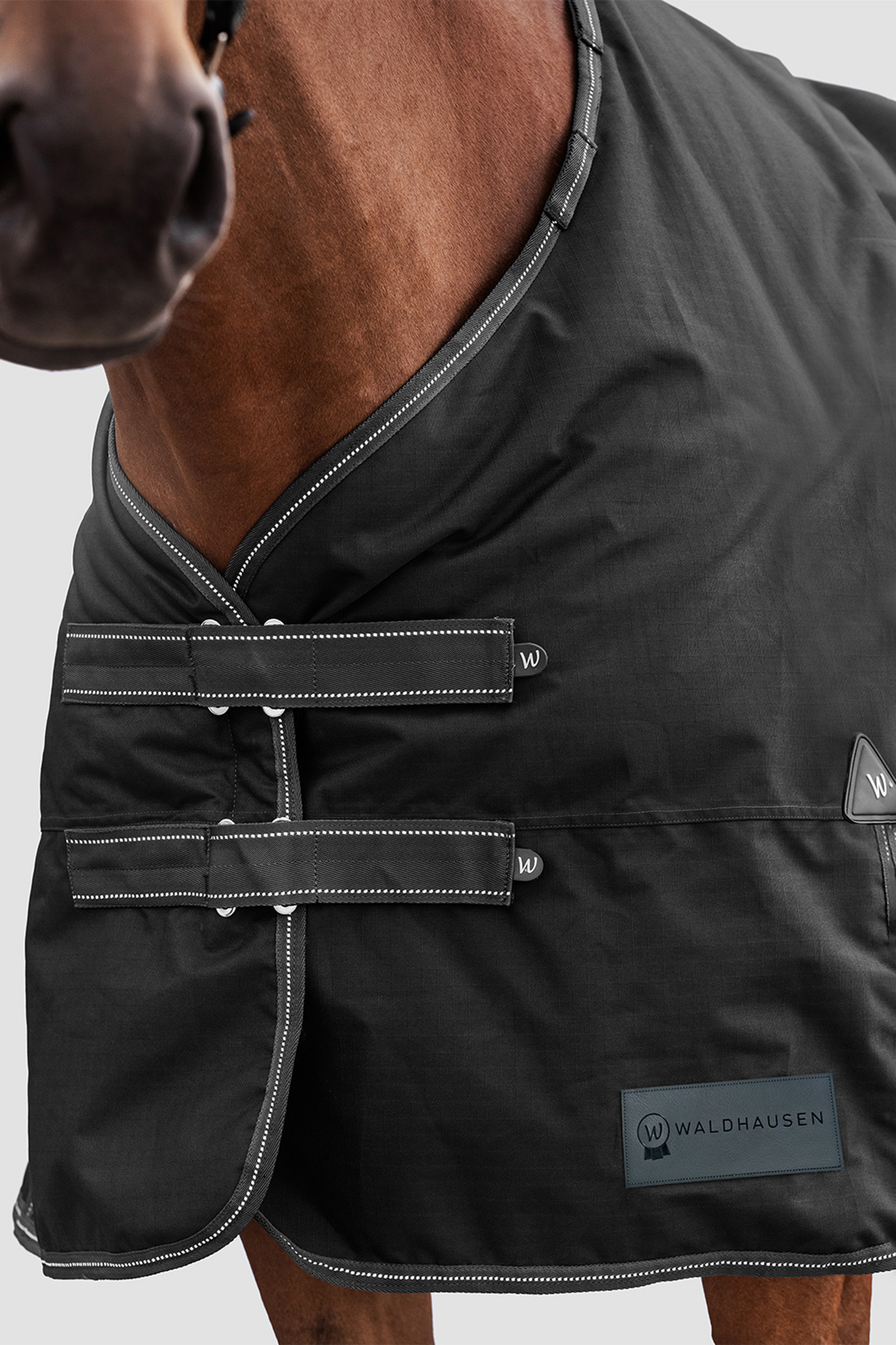 Waldhausen ulkoloimi Arctic Light