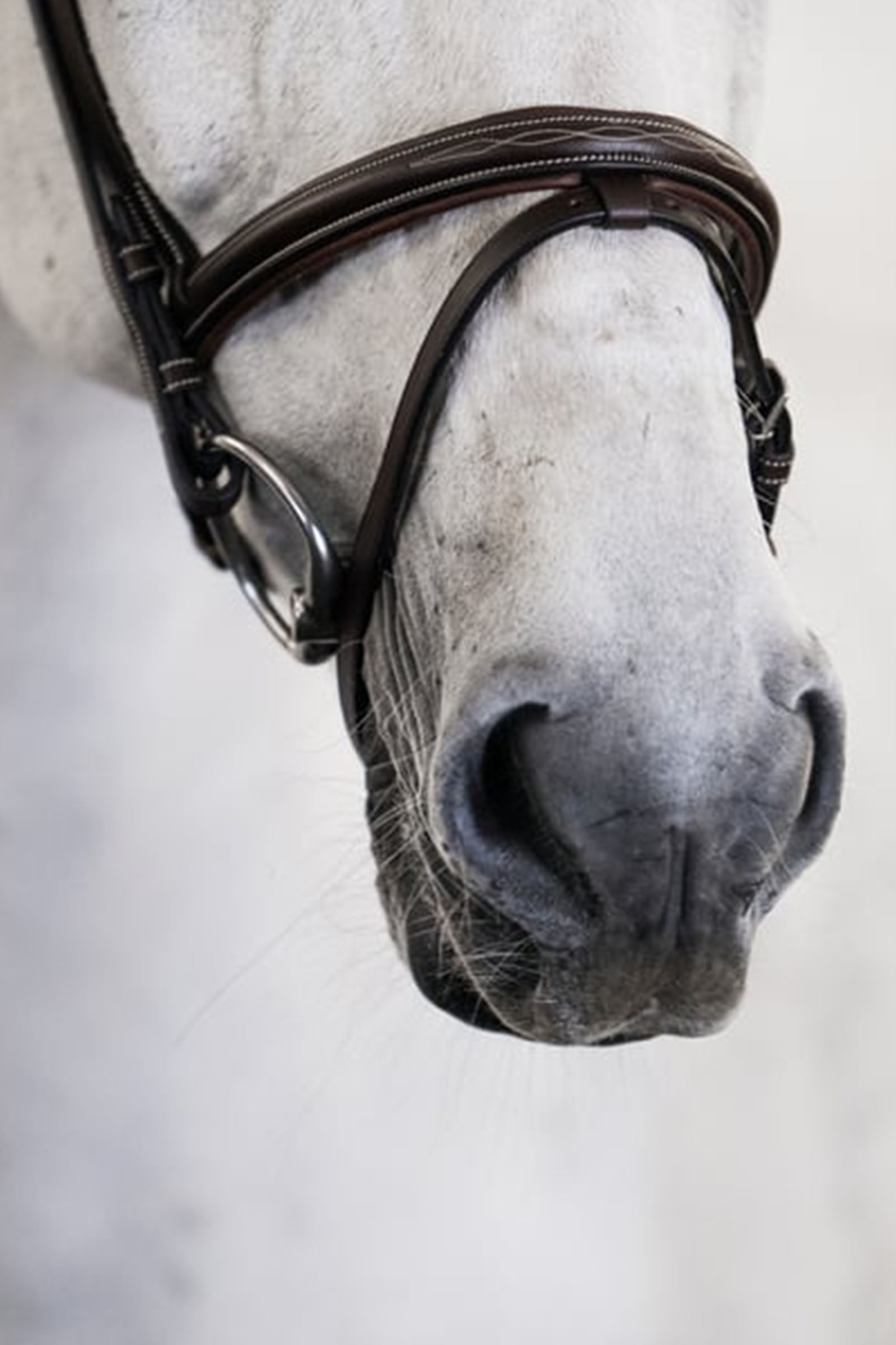 PS of Sweden Stockholm suitset