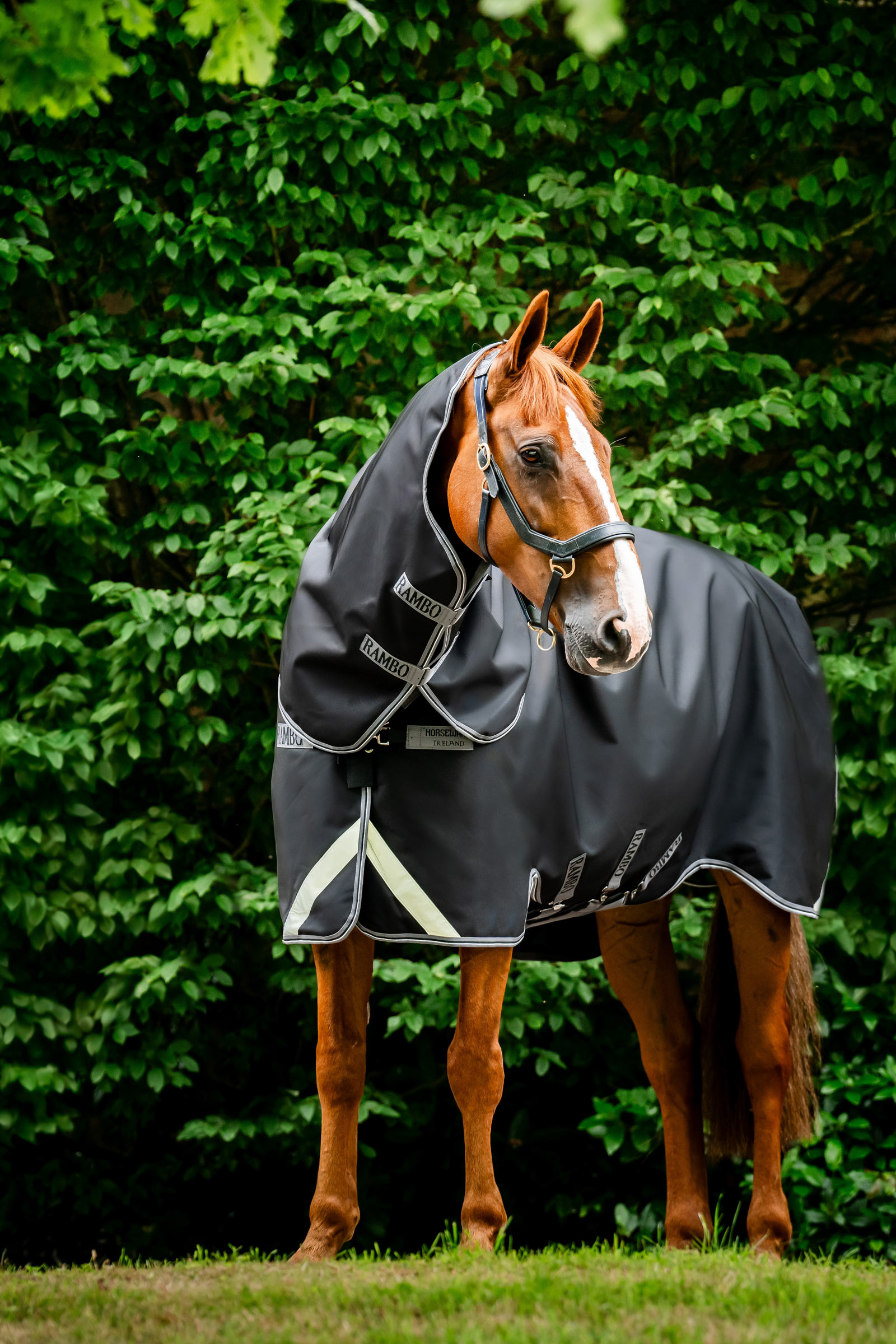 Horseware Rambo 1680D Plus ulkoloimi, 100 g
