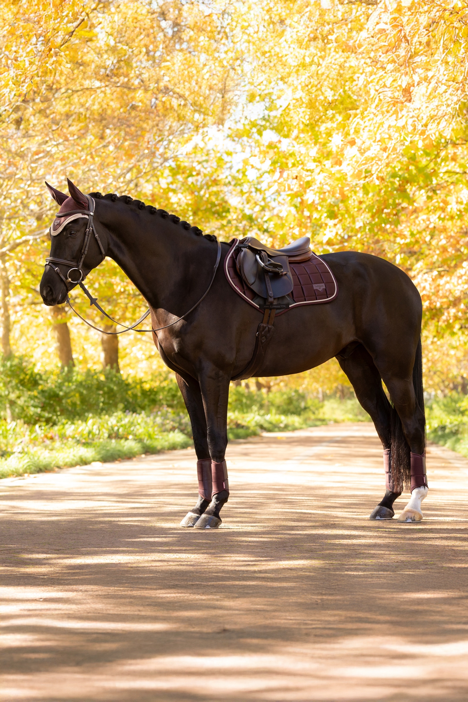 LeMieux Loire Square CC Estesatulahuopa