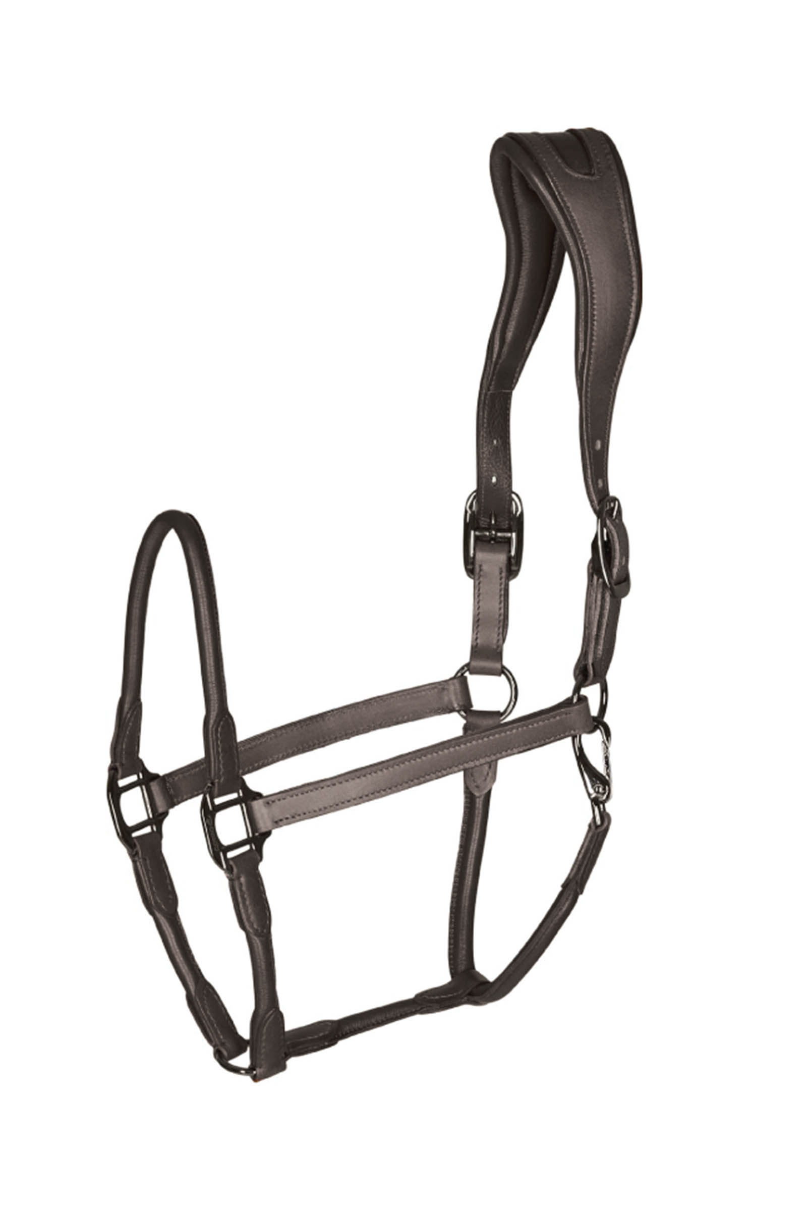 Catago leather halter with round-stitched noseband