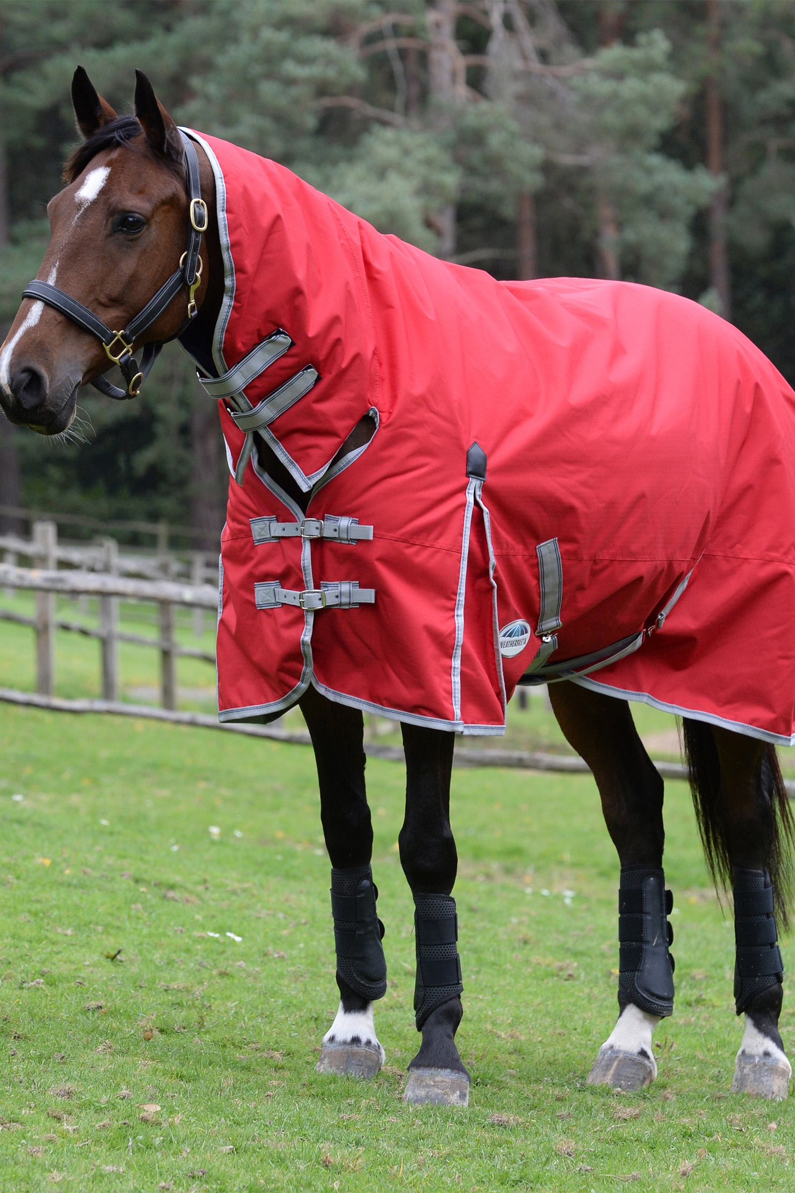 Weatherbeeta Comfitec Classic Loimi integroidulla kauluksella, 50g