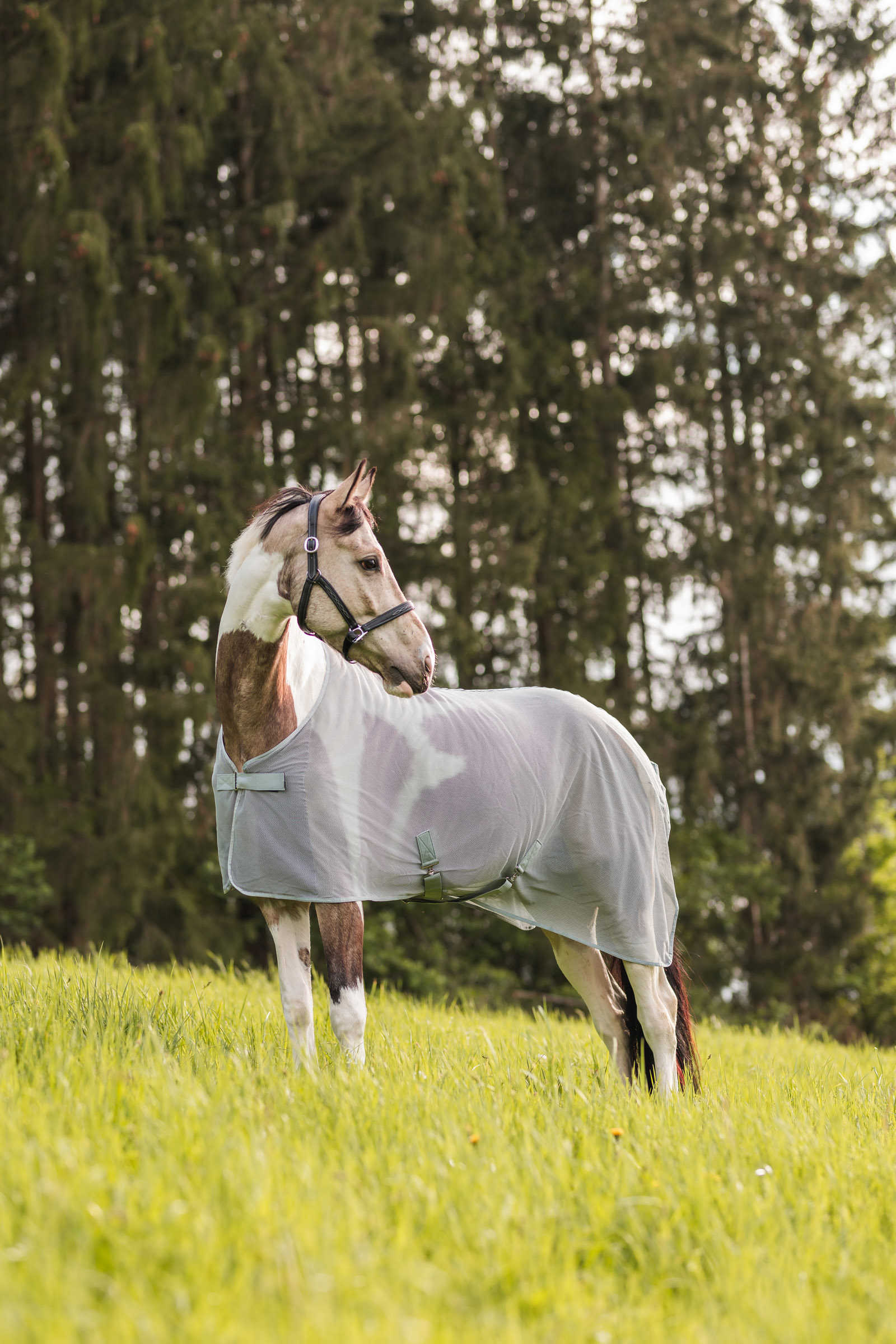 Horze Orleans kärpäsloimi