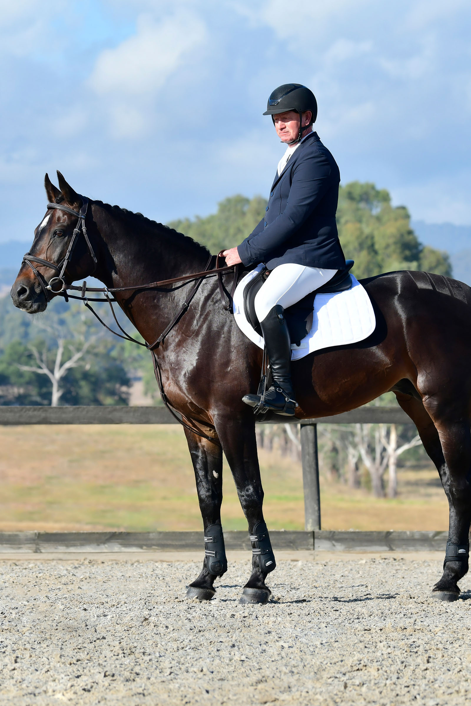 Collegiate Comfitec Opulux Fancy Stitch pehmustettu hannoverilainen suitsi