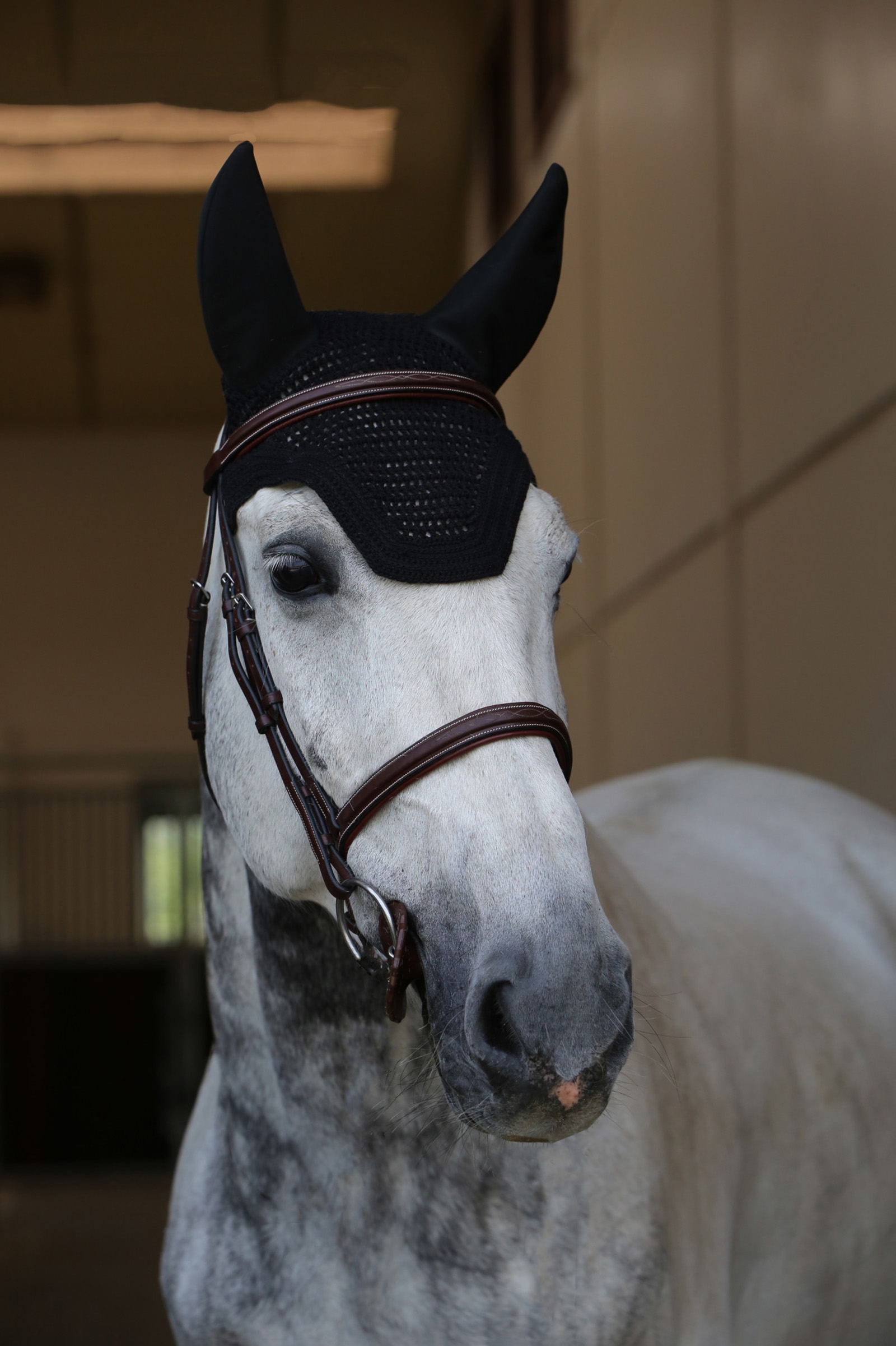 Kentucky Horsewear Wellington Soundless -korvahuppu