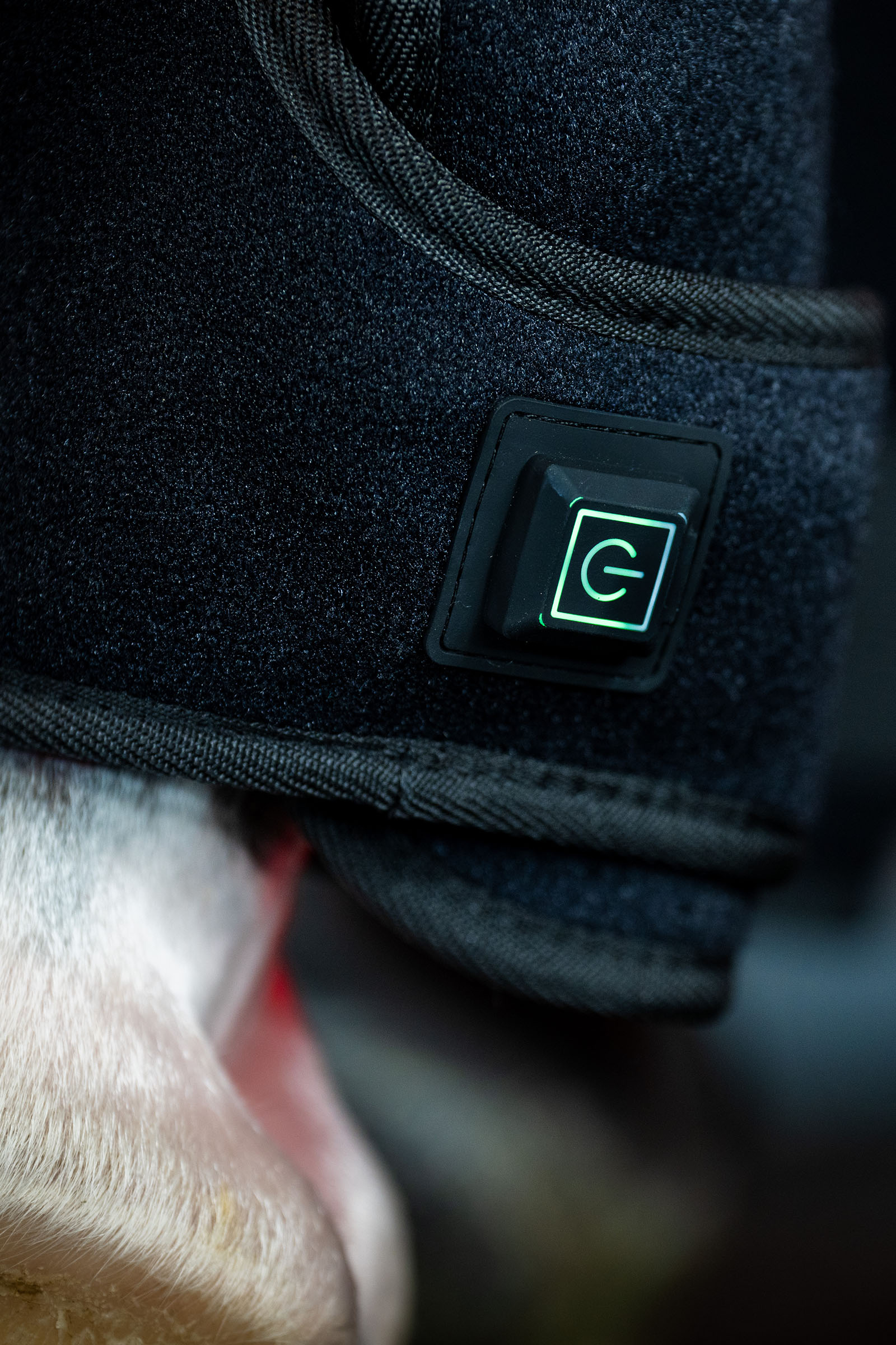 Horseware LED punavalohoitoinen hevosbootsi (1 kpl)