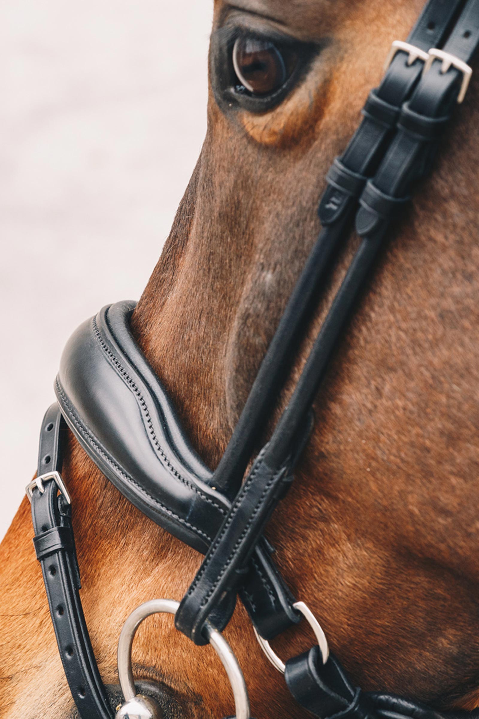 Schockemöhle Sports Malibu anatominen suitsi