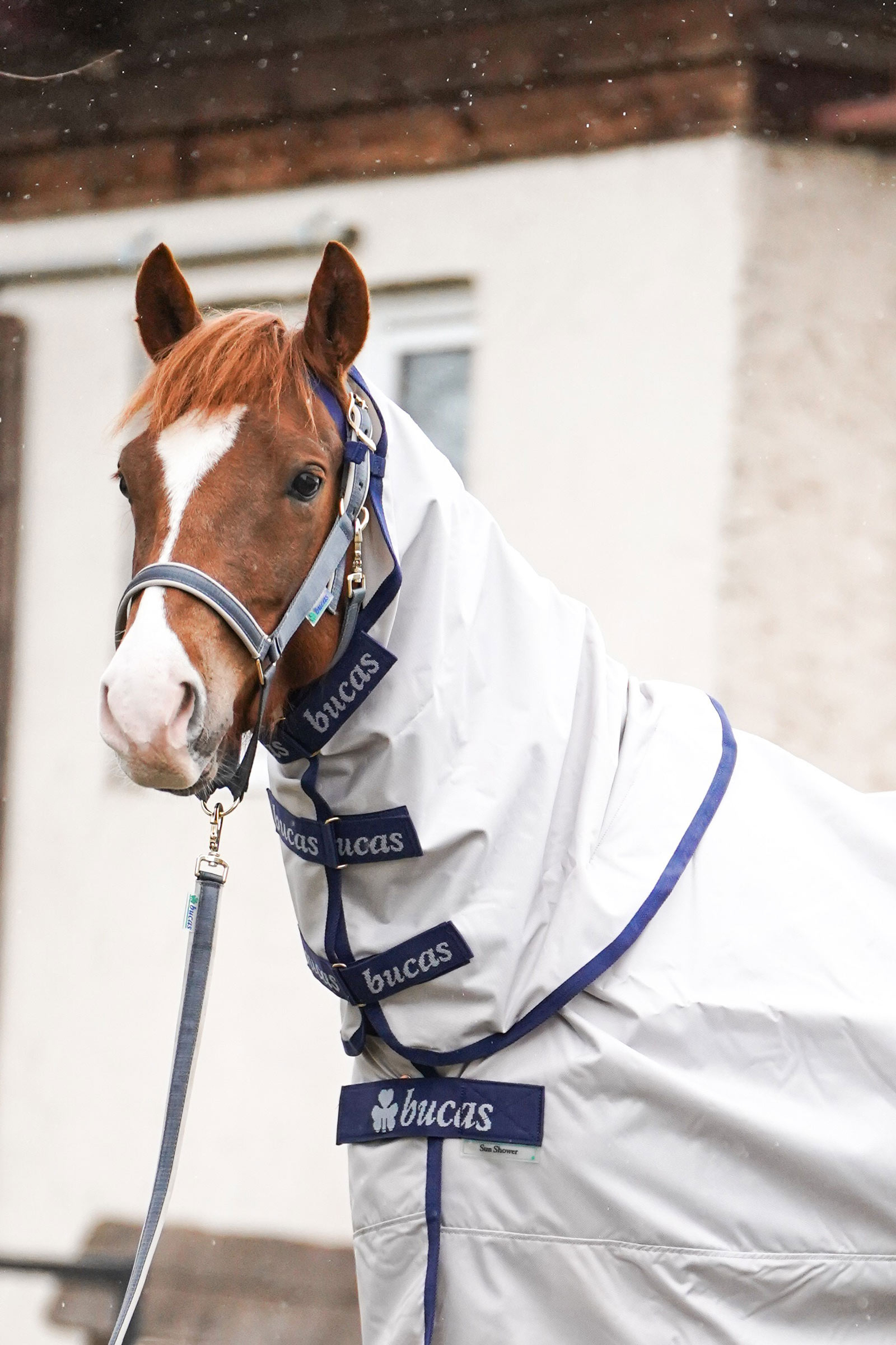 Bucas Sun Shower kaulakappale, 0 g
